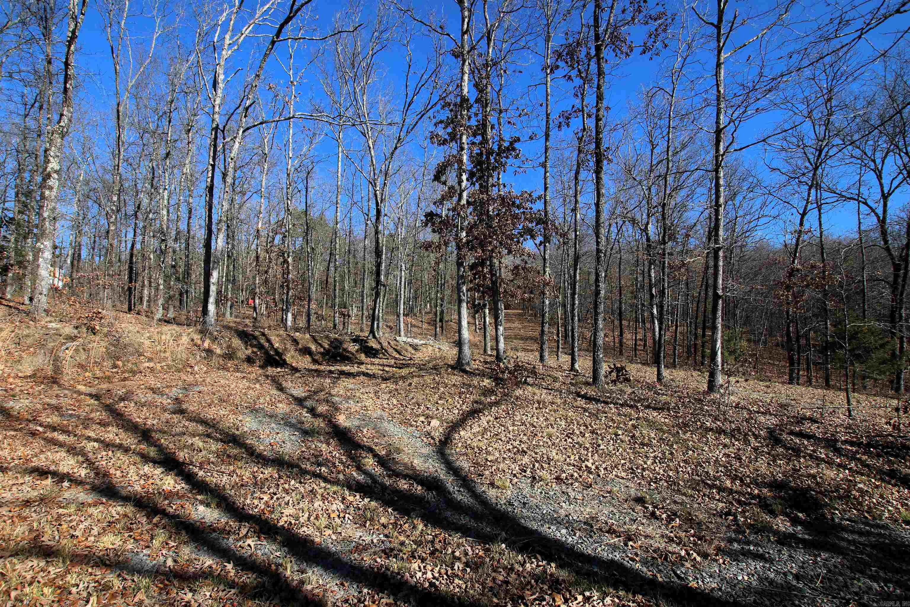 239 Mill Creek Road Property Photo 18