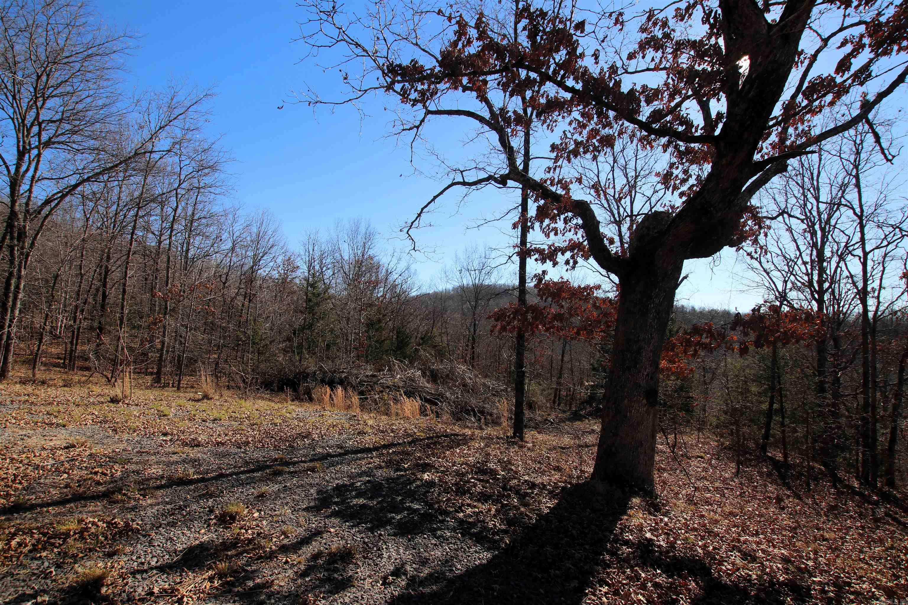 239 Mill Creek Road Property Photo 19
