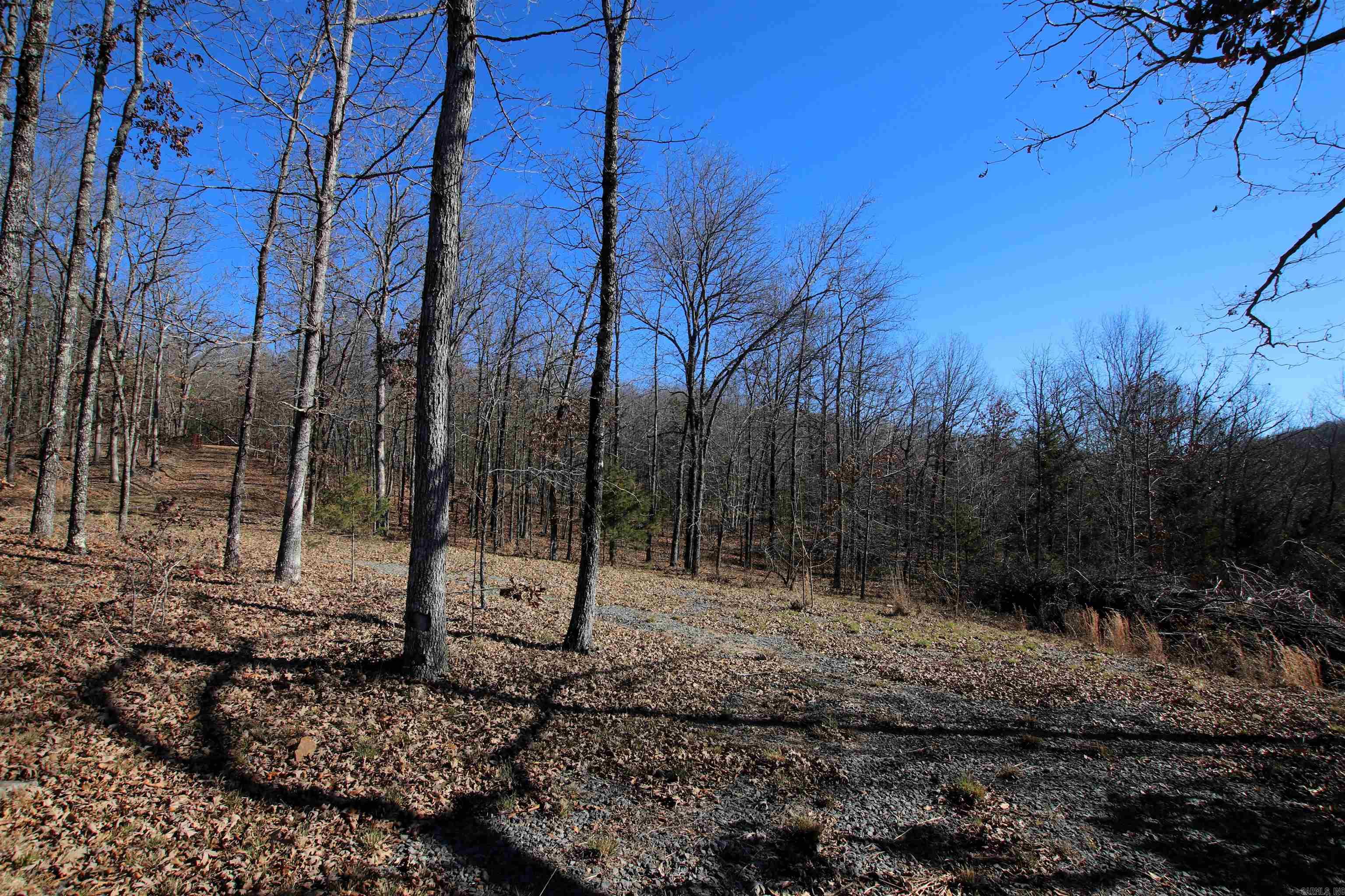239 Mill Creek Road Property Photo 20