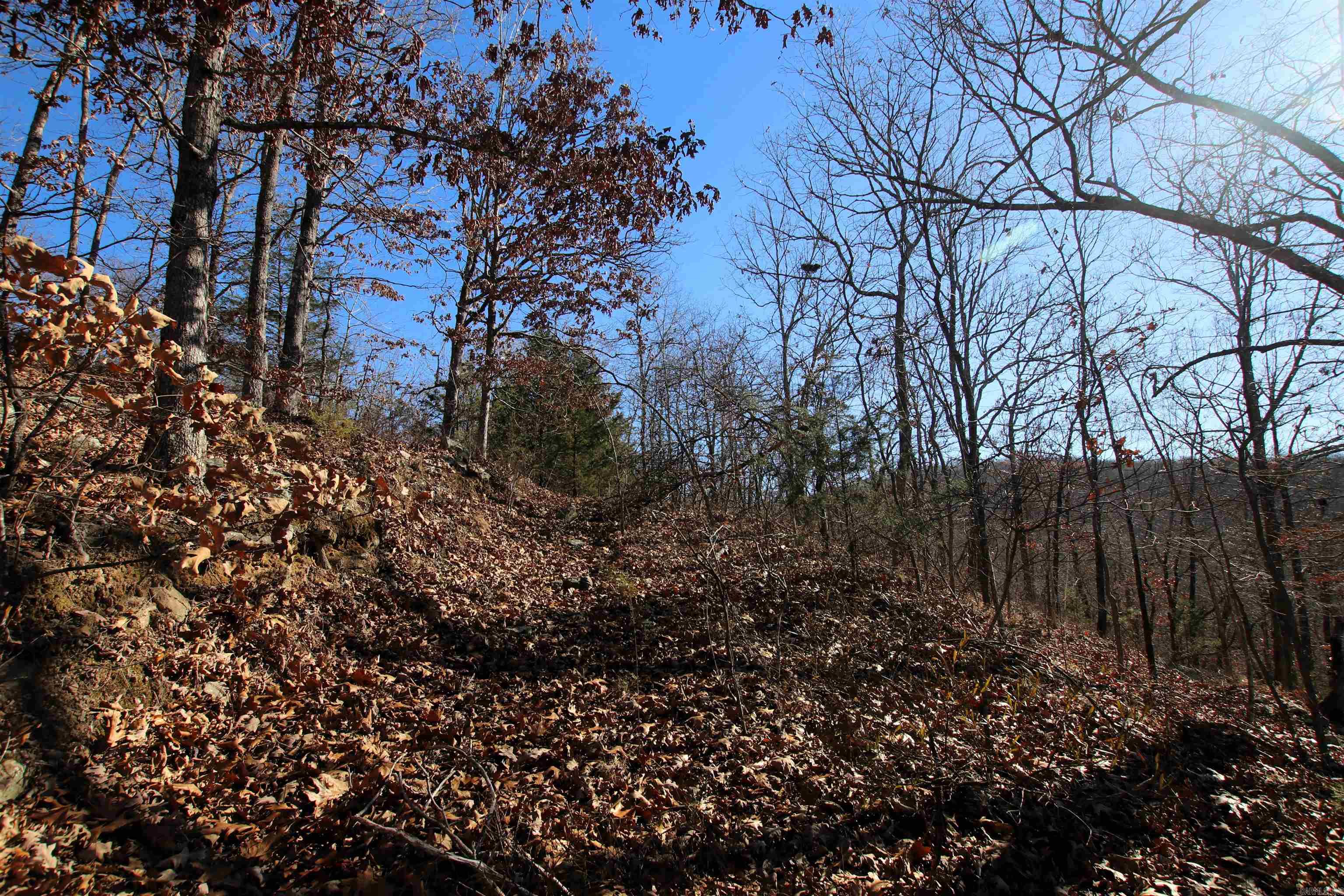 239 Mill Creek Road Property Photo 21