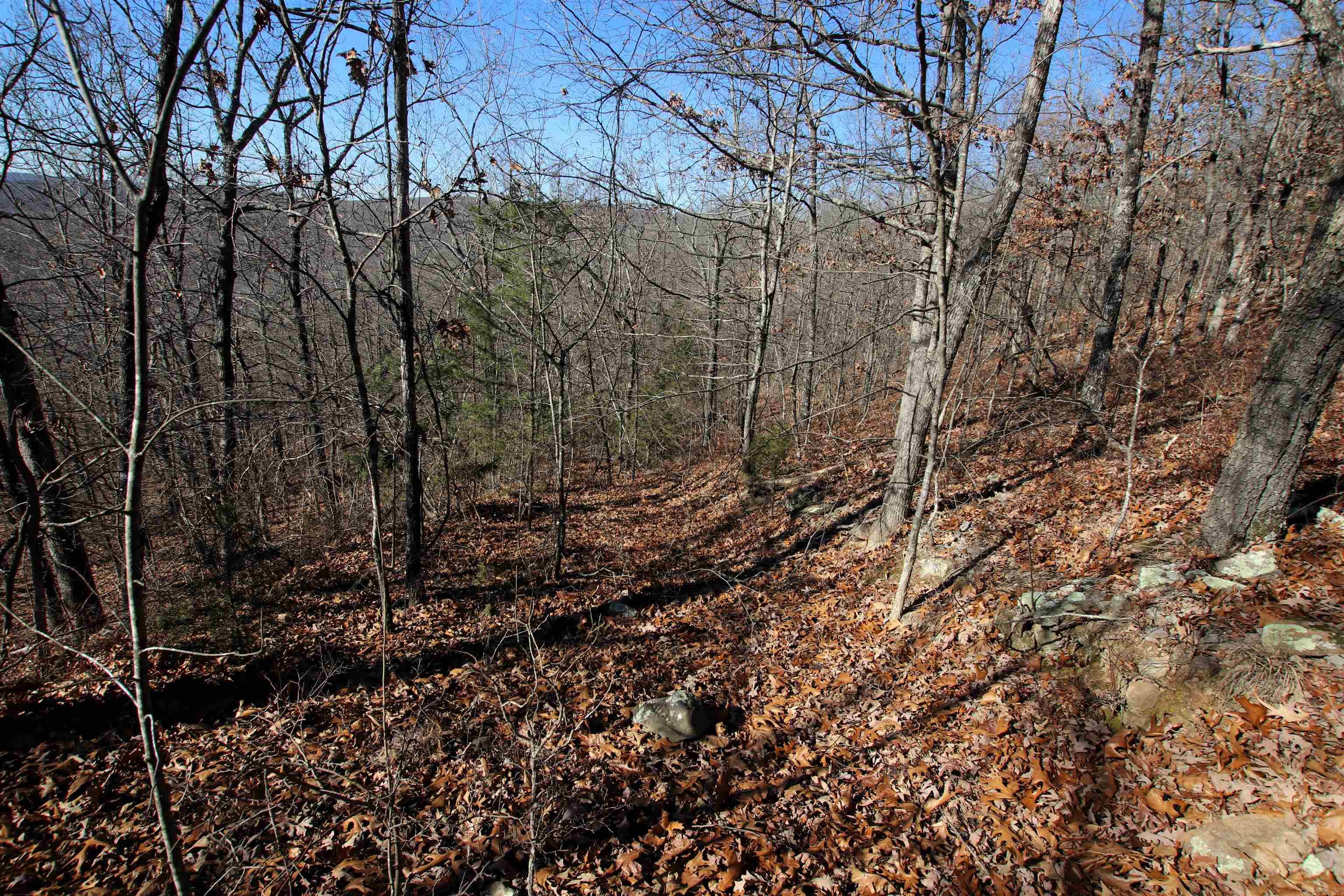 239 Mill Creek Road Property Photo 22