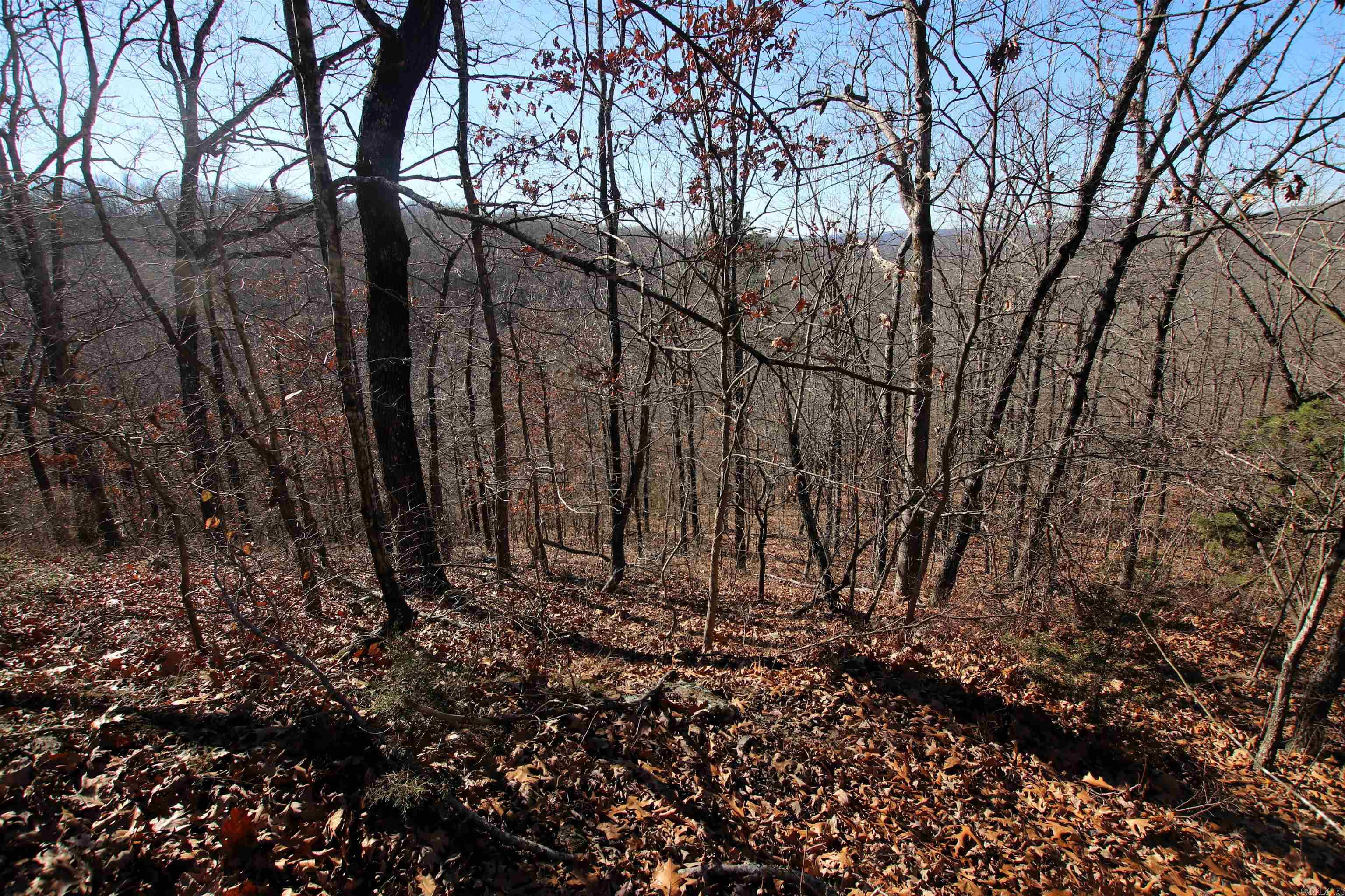 239 Mill Creek Road Property Photo 23