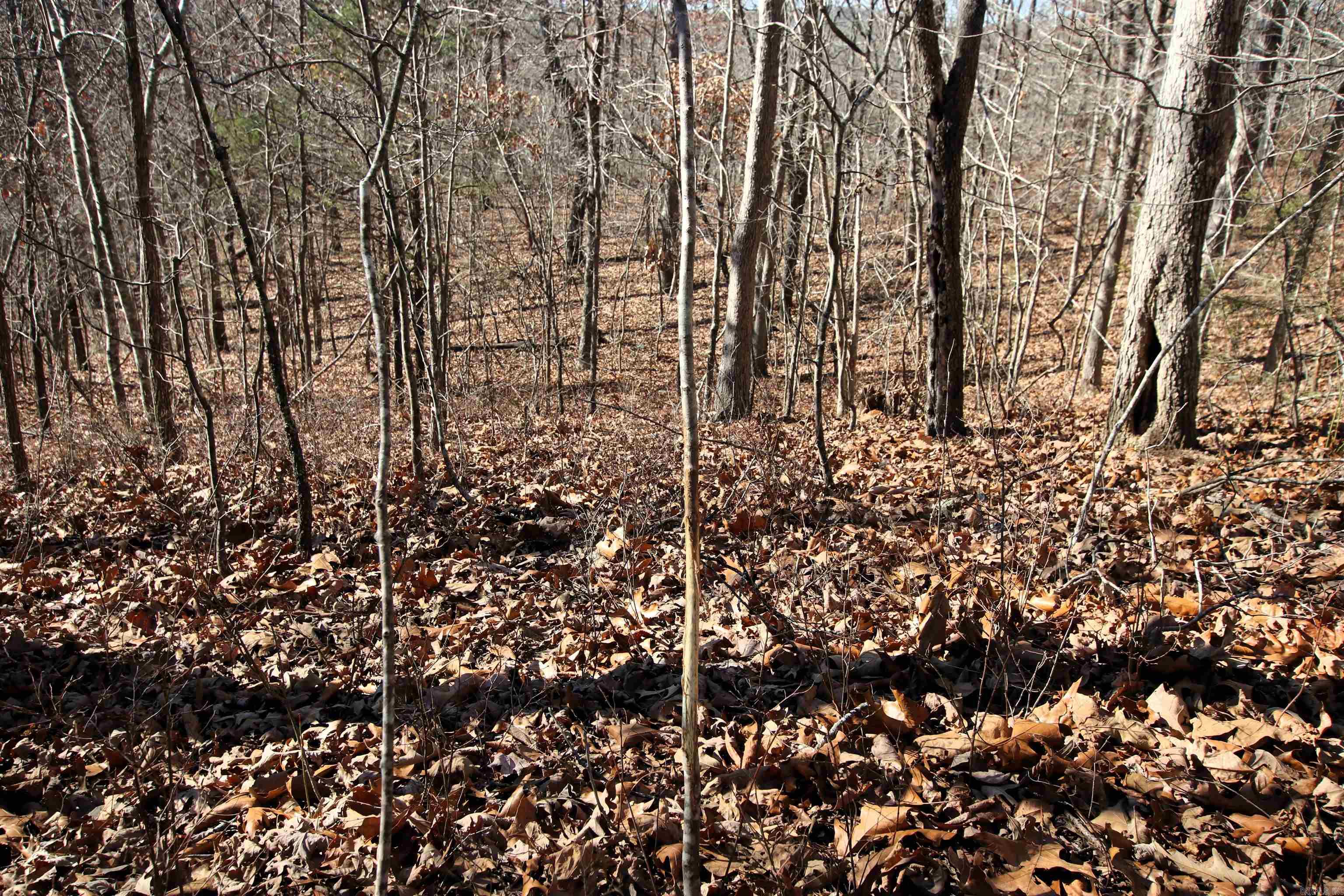 239 Mill Creek Road Property Photo 25