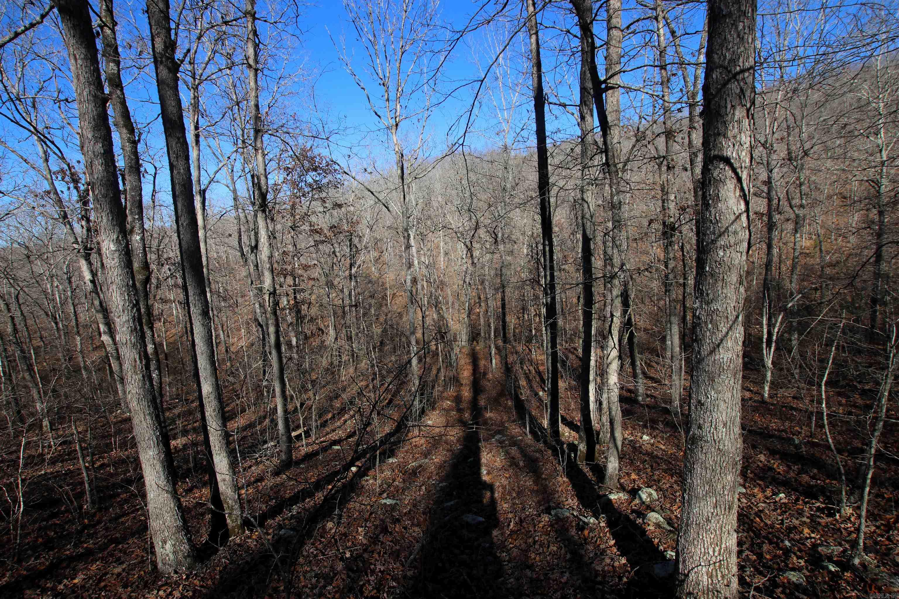 239 Mill Creek Road Property Photo 27
