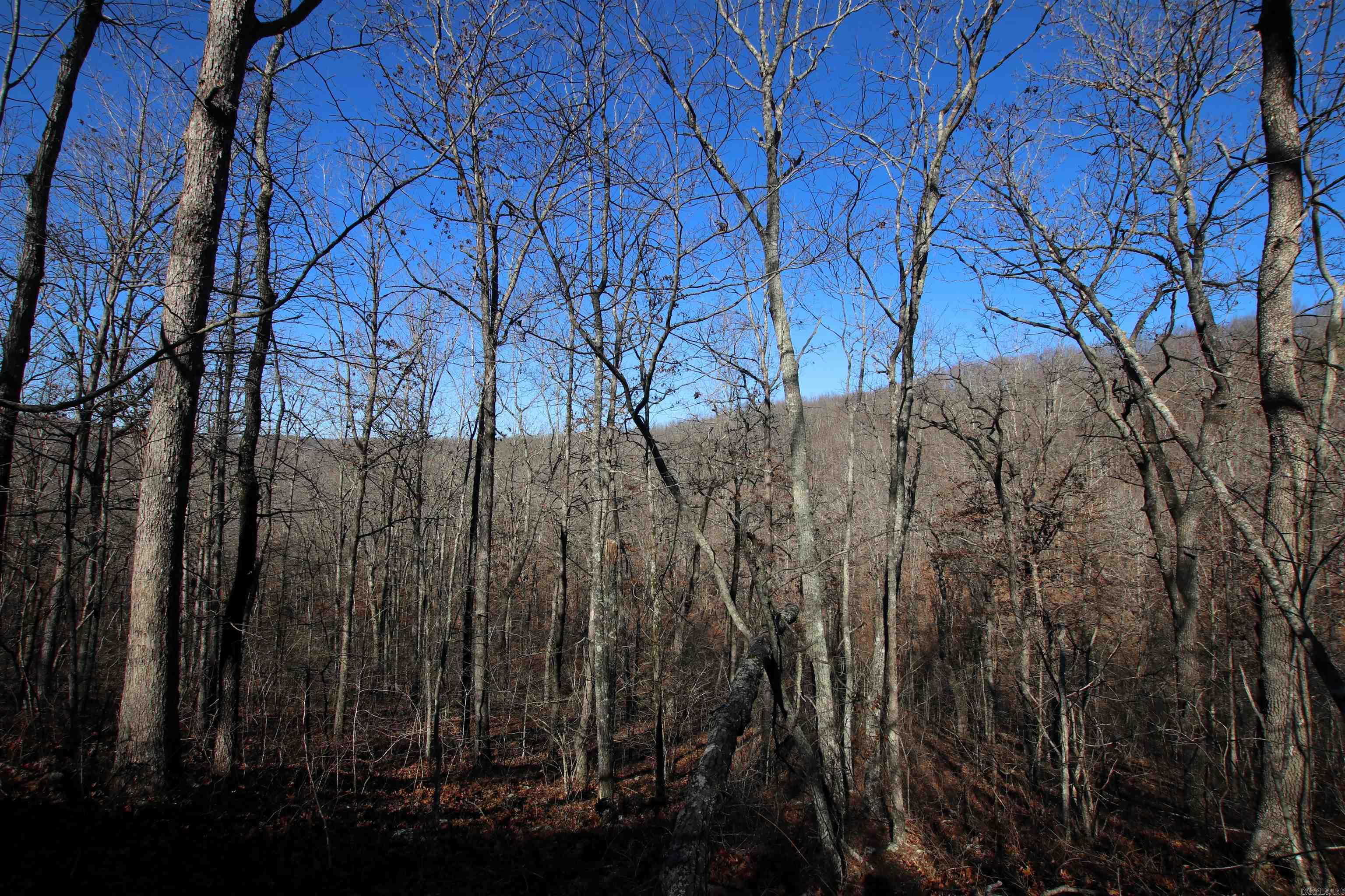 239 Mill Creek Road Property Photo 28
