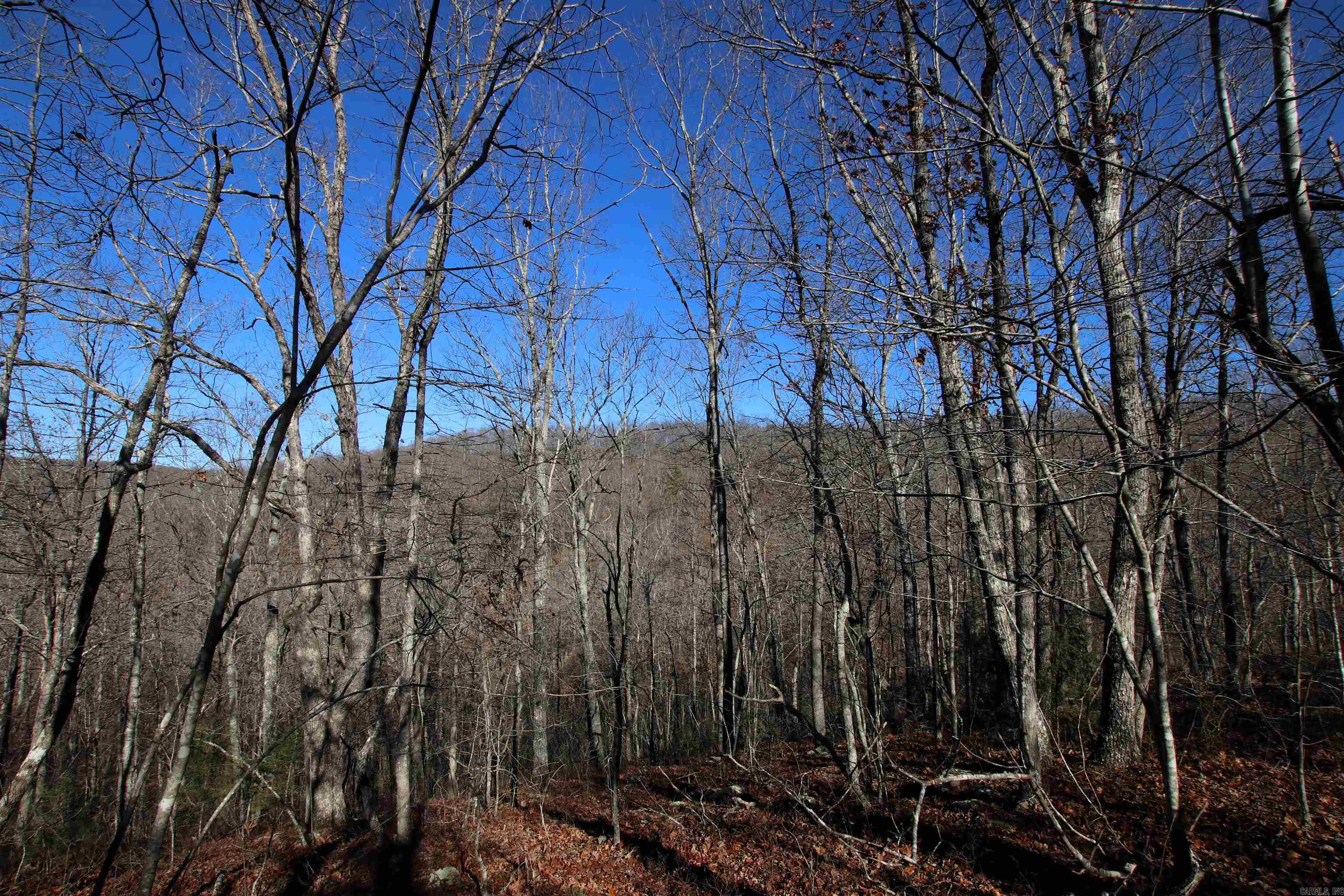 239 Mill Creek Road Property Photo 29