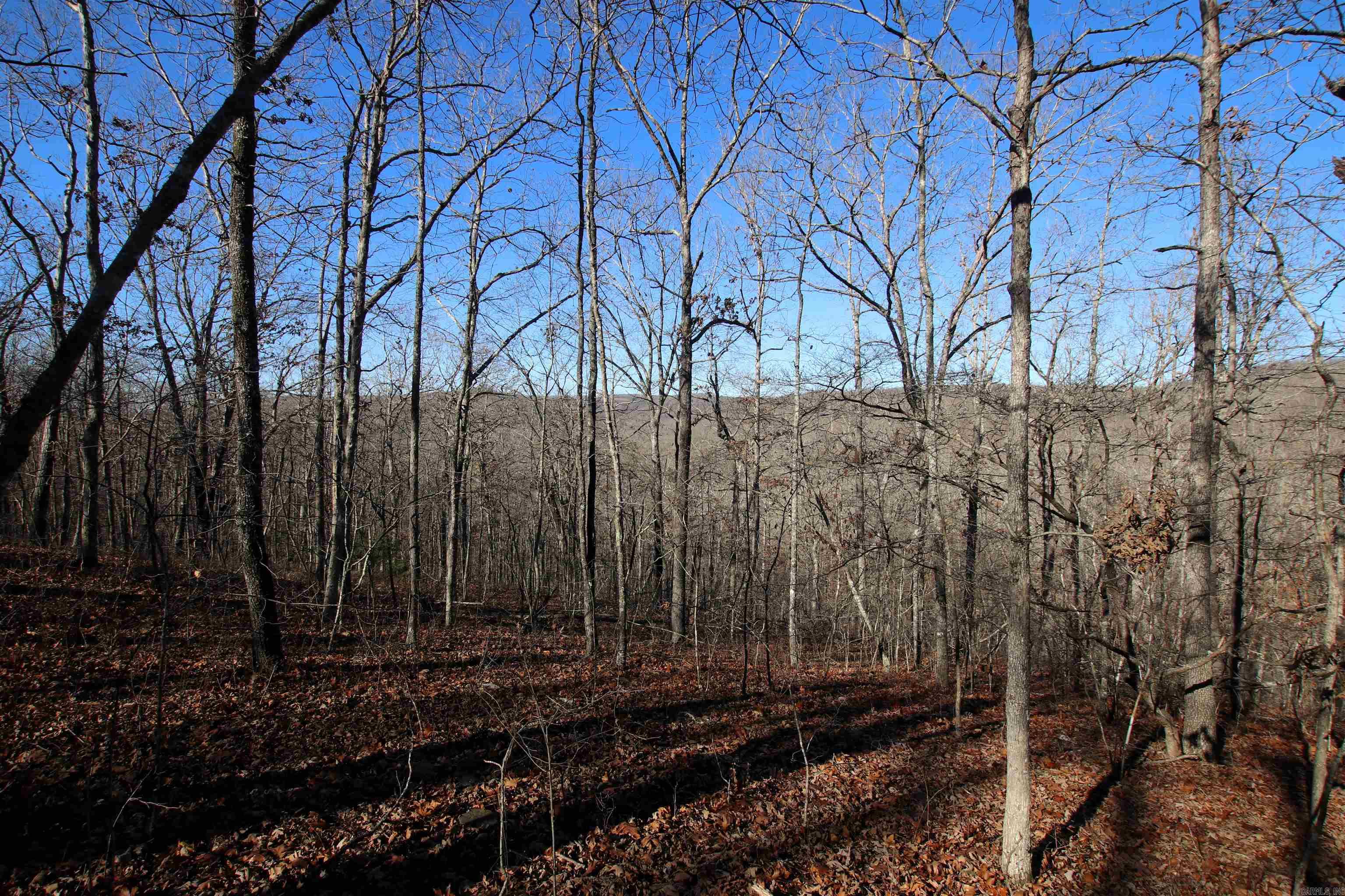 239 Mill Creek Road Property Photo 31