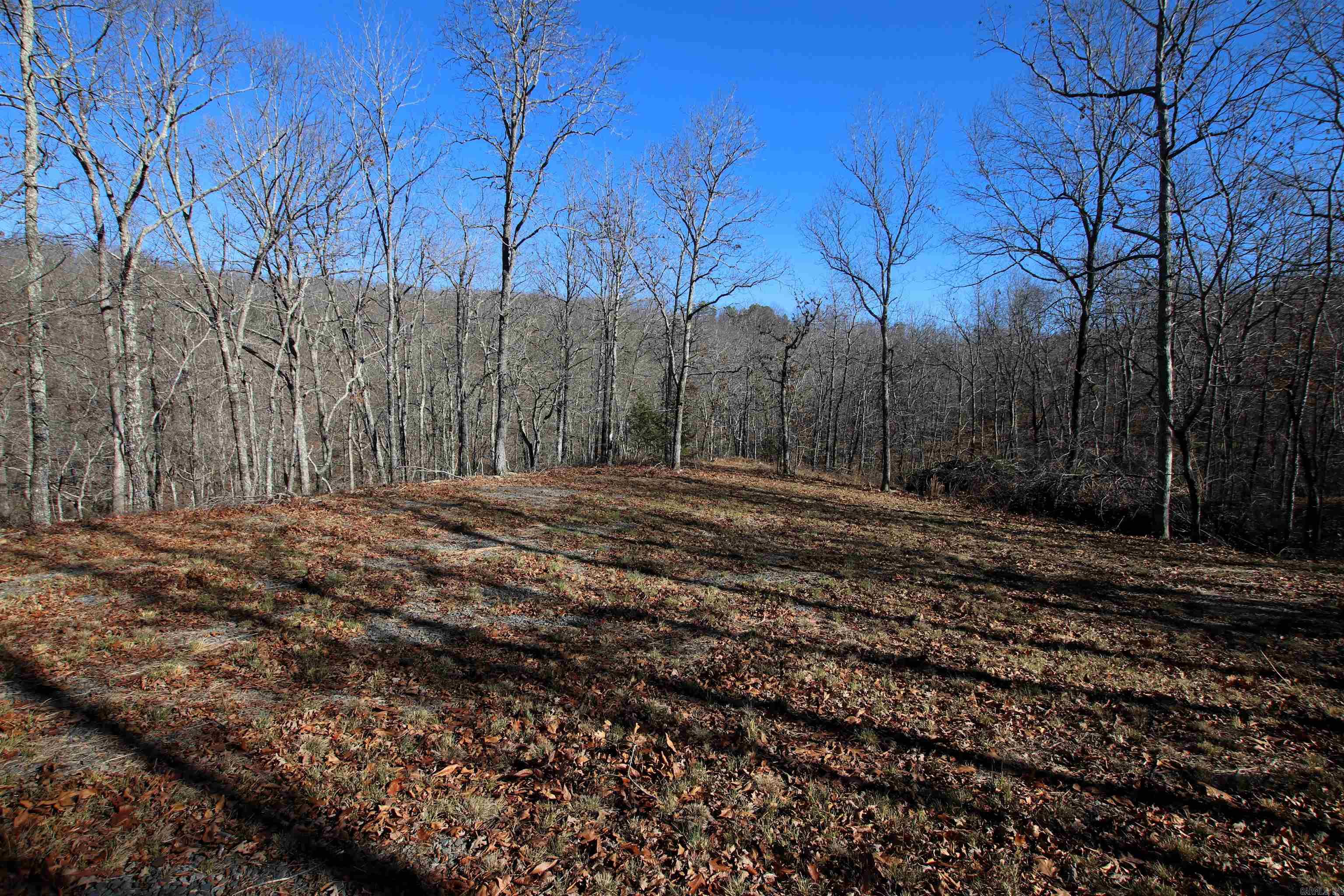 239 Mill Creek Road Property Photo 33