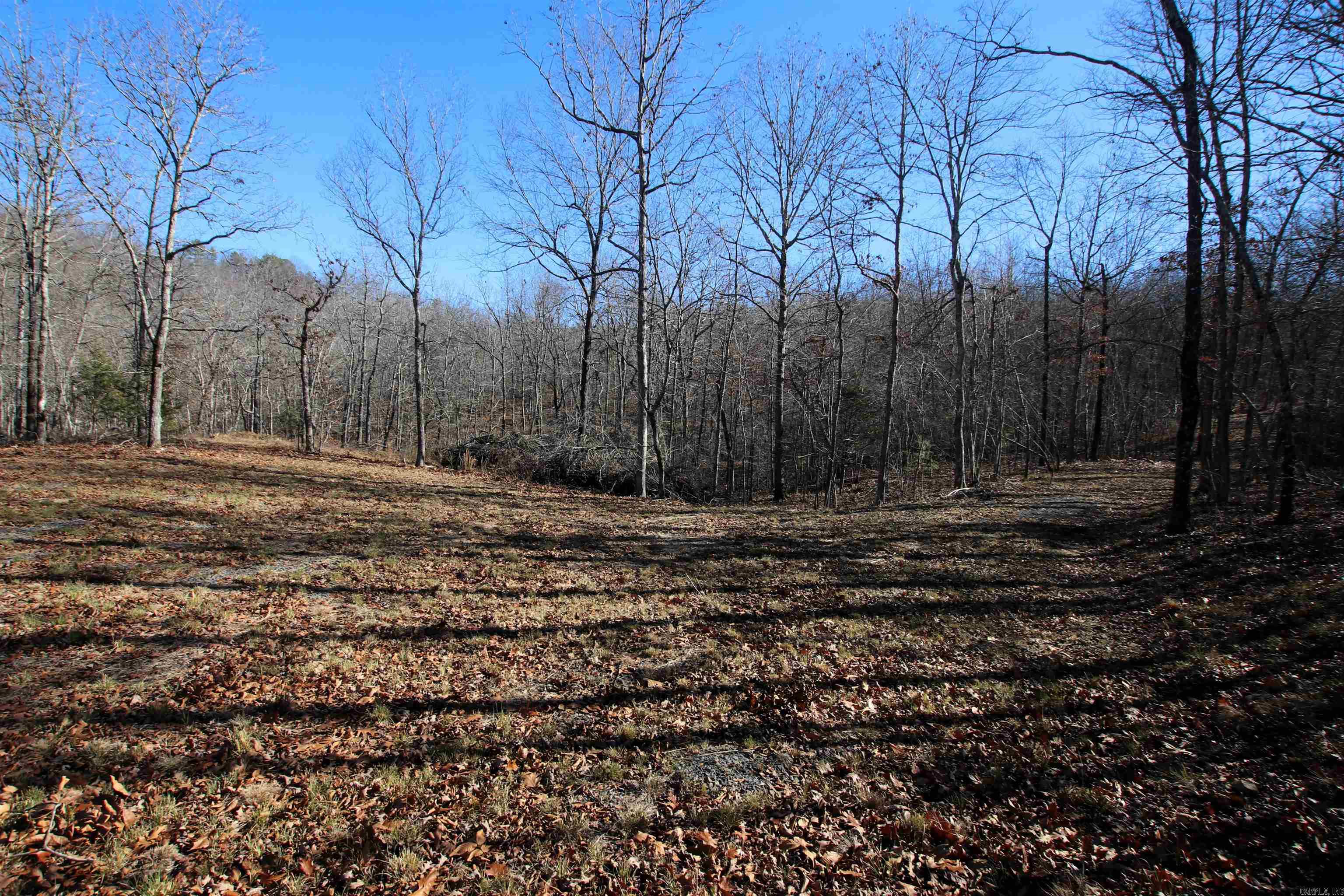 239 Mill Creek Road Property Photo 34