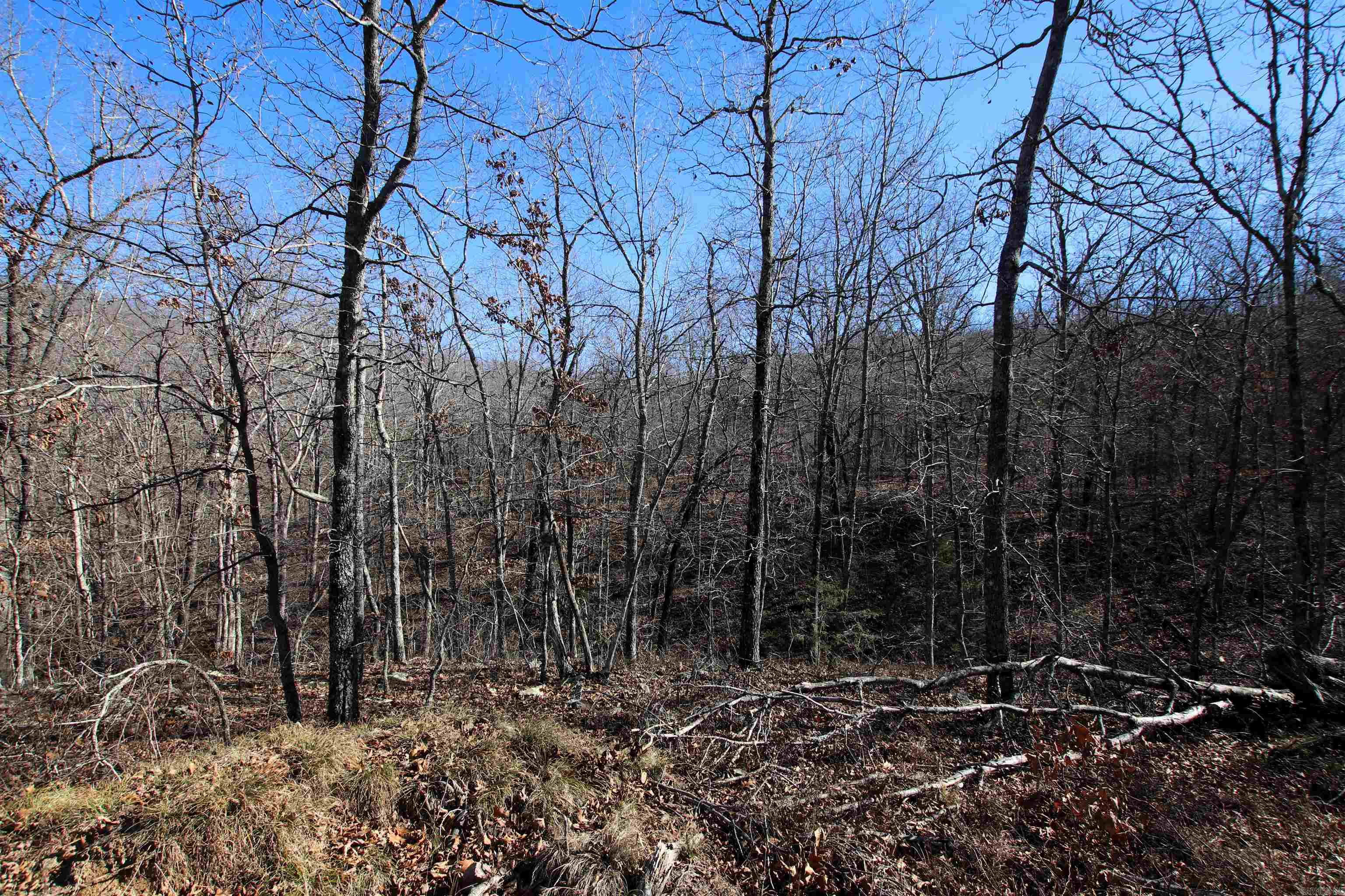 239 Mill Creek Road Property Photo 37
