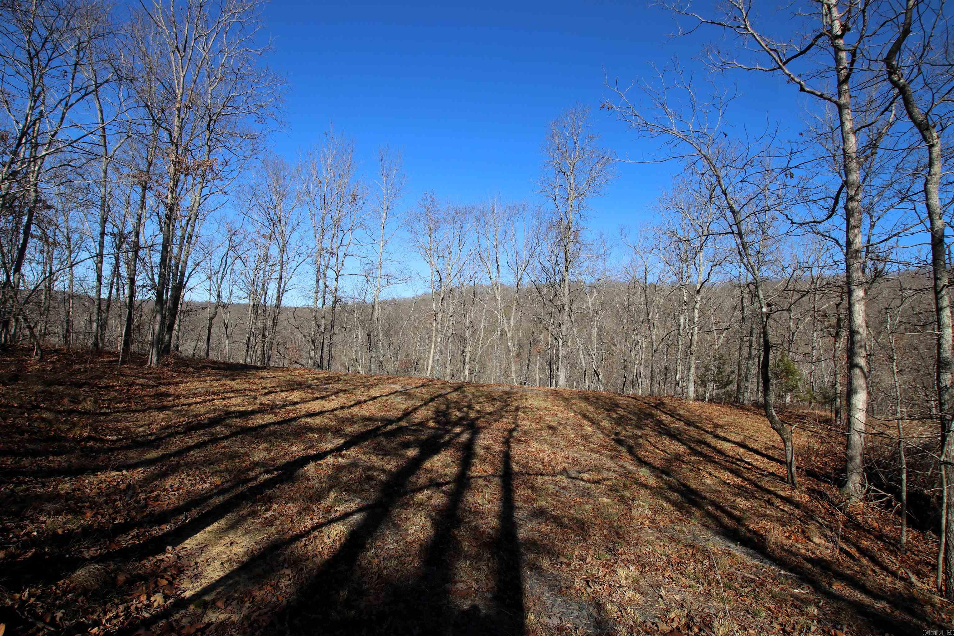 239 Mill Creek Road Property Photo 38