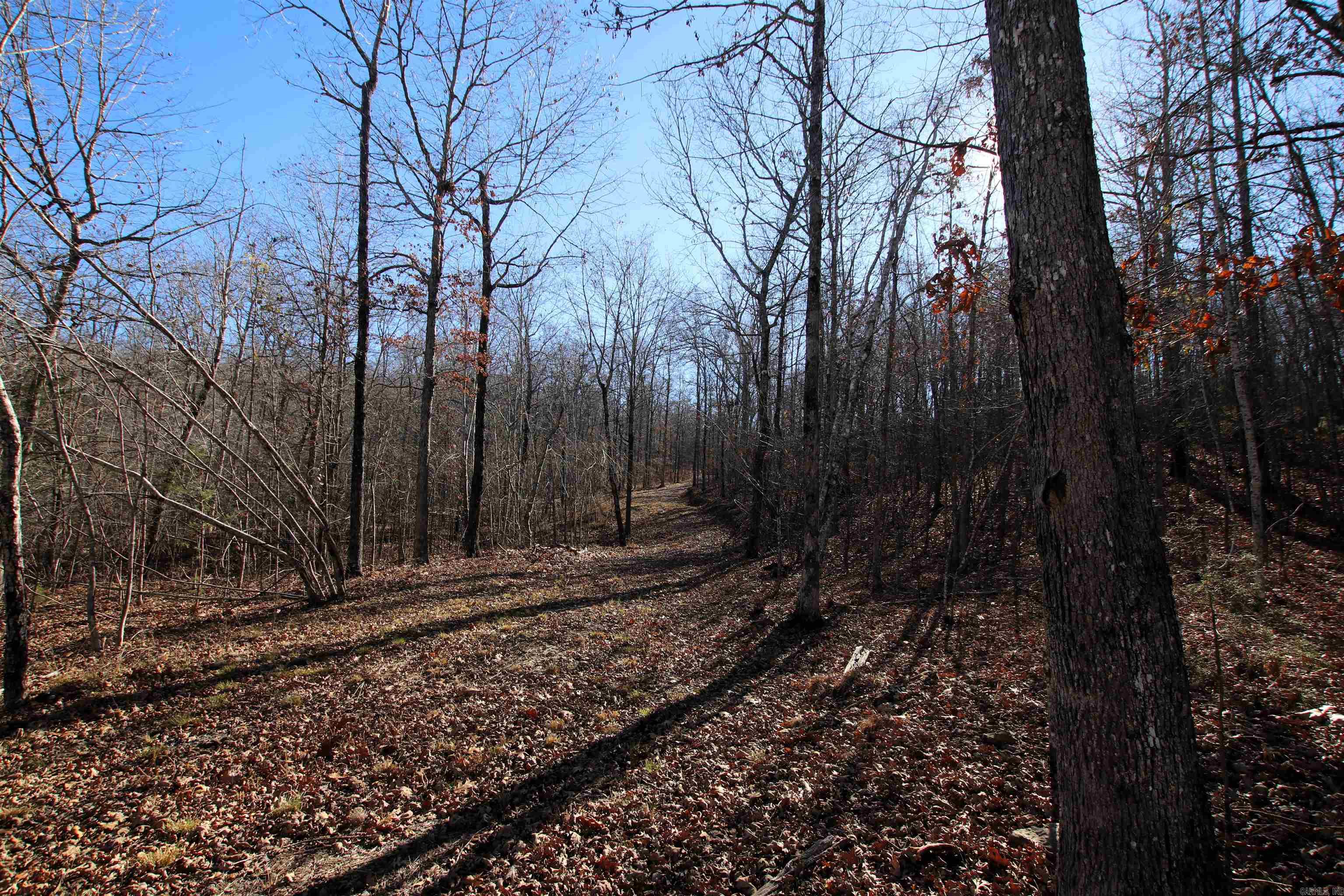 239 Mill Creek Road Property Photo 39