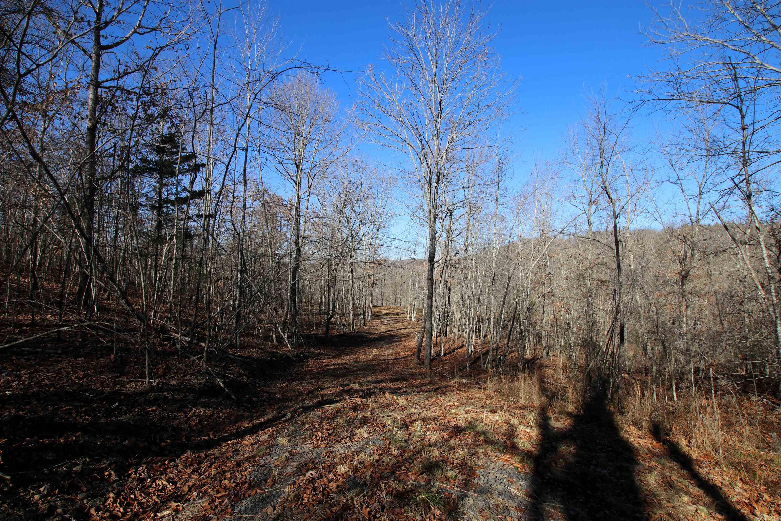 239 Mill Creek Road Property Photo 40