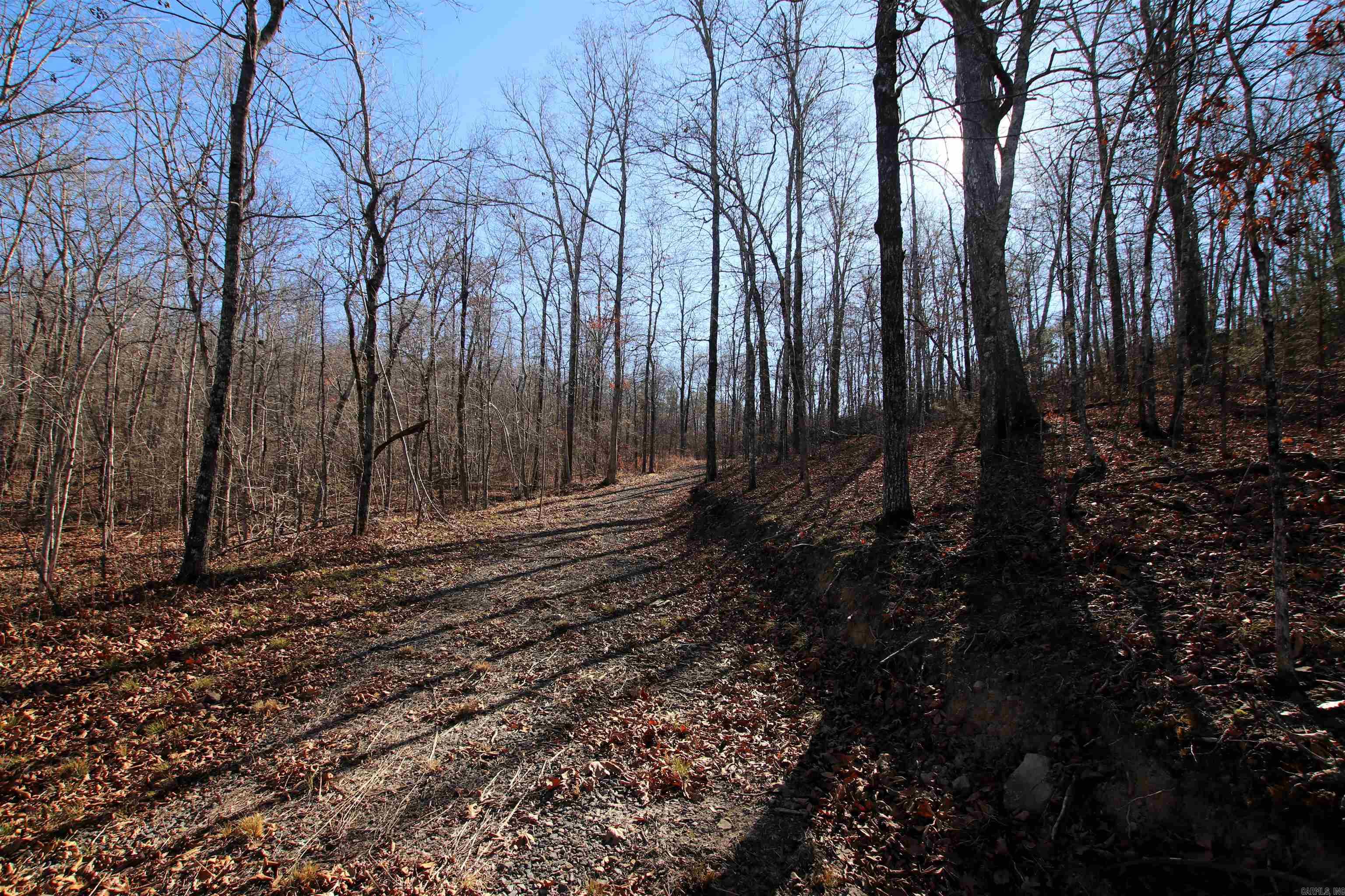 239 Mill Creek Road Property Photo 41