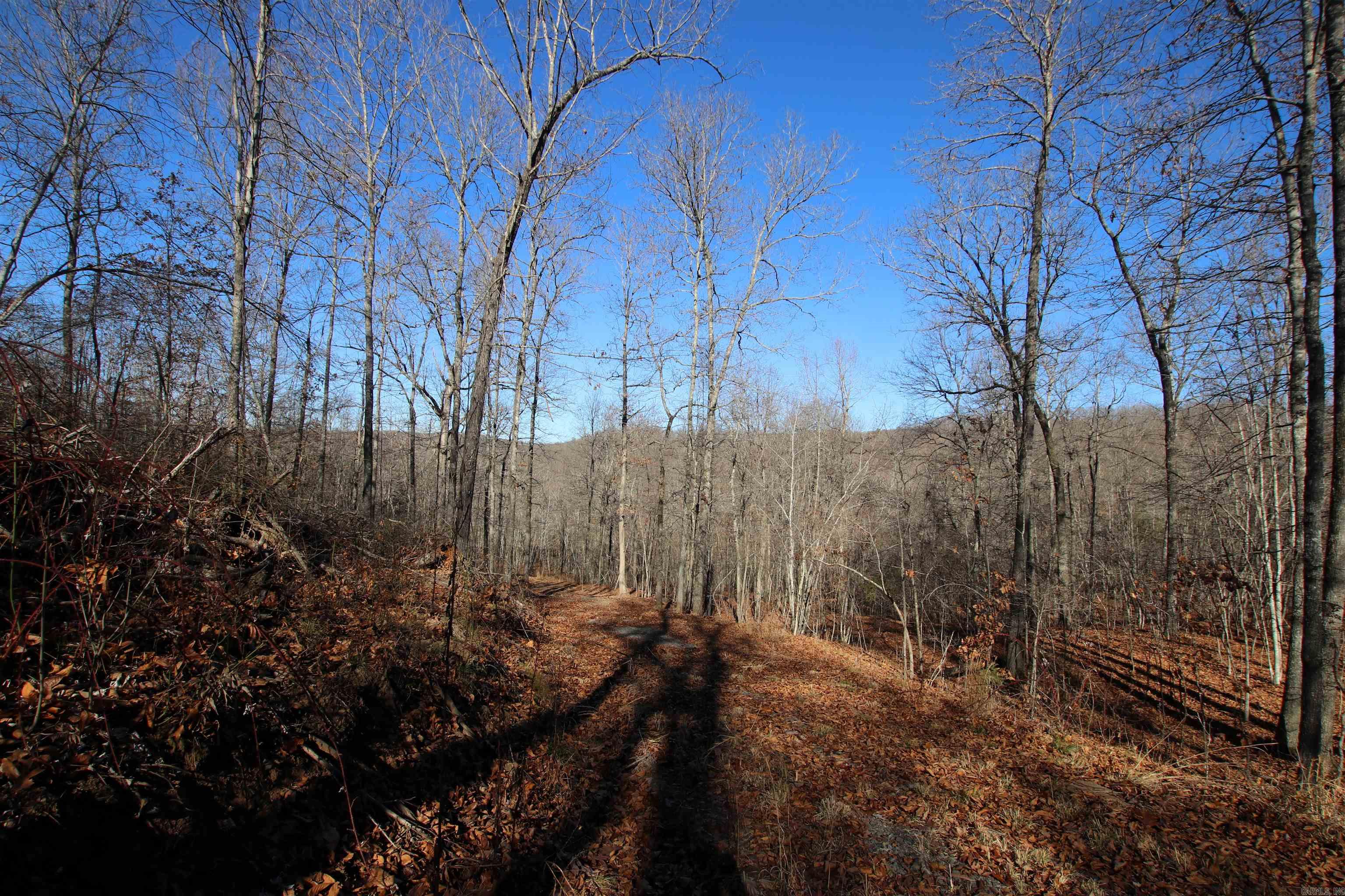239 Mill Creek Road Property Photo 42