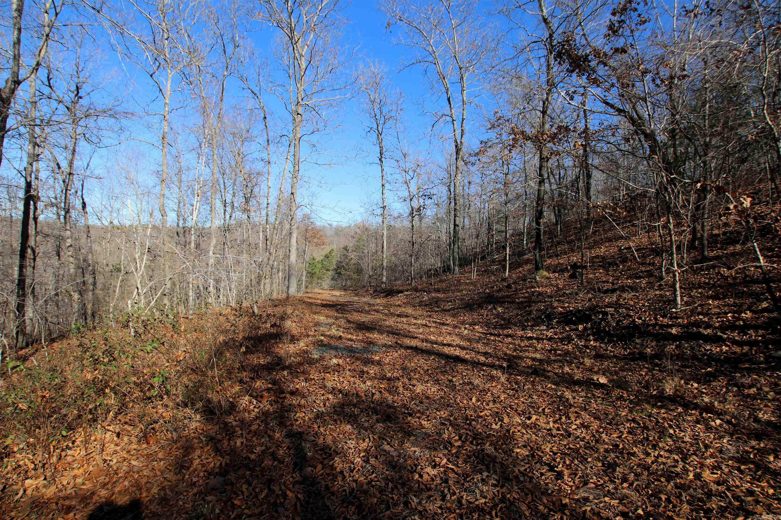 239 Mill Creek Road Property Photo 44
