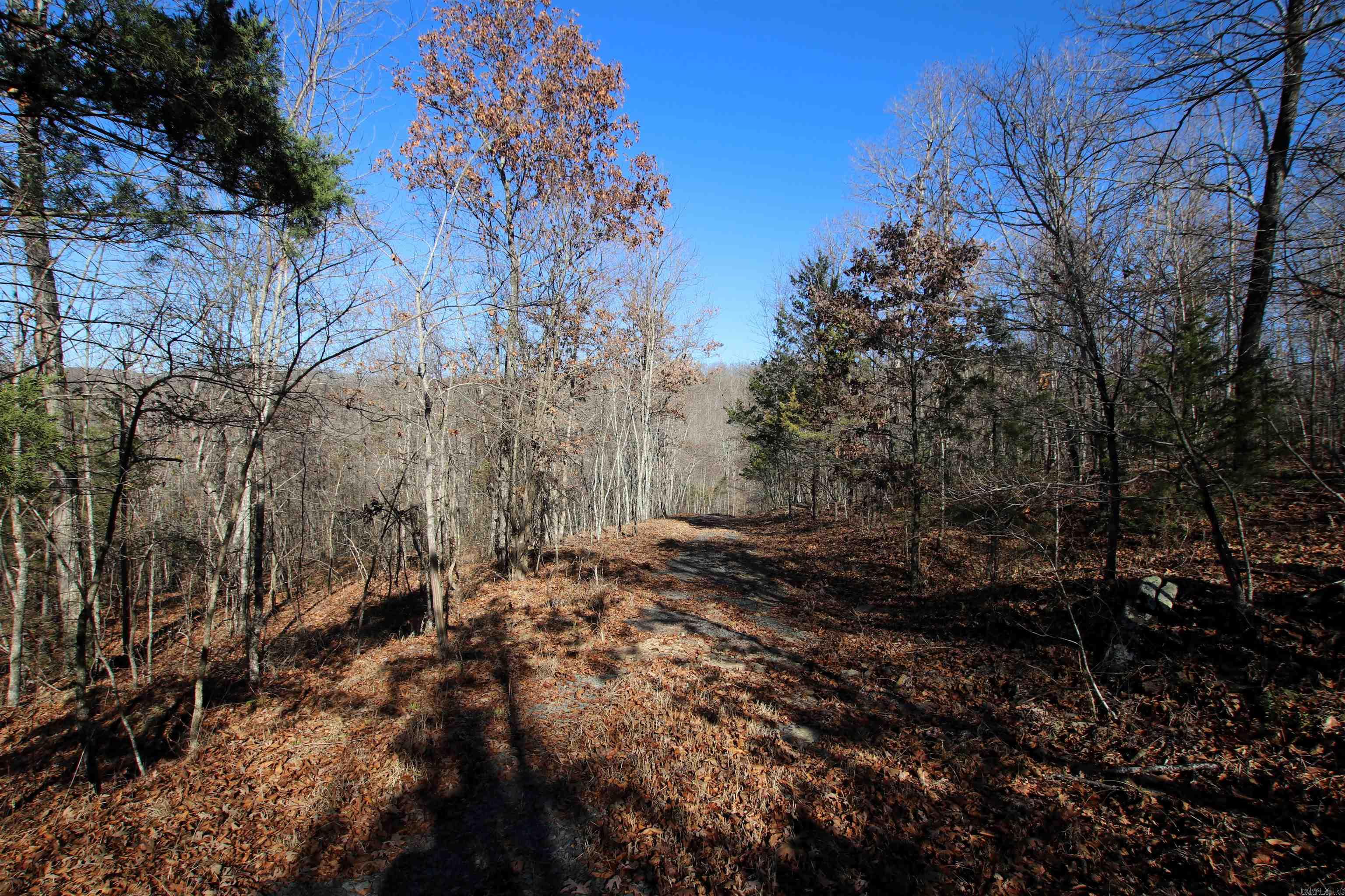 239 Mill Creek Road Property Photo 45