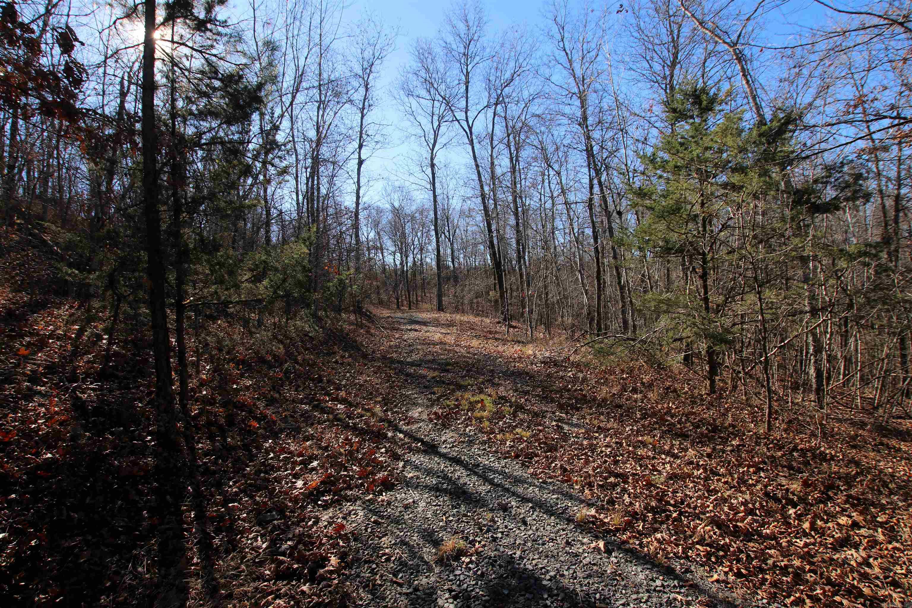 239 Mill Creek Road Property Photo 46