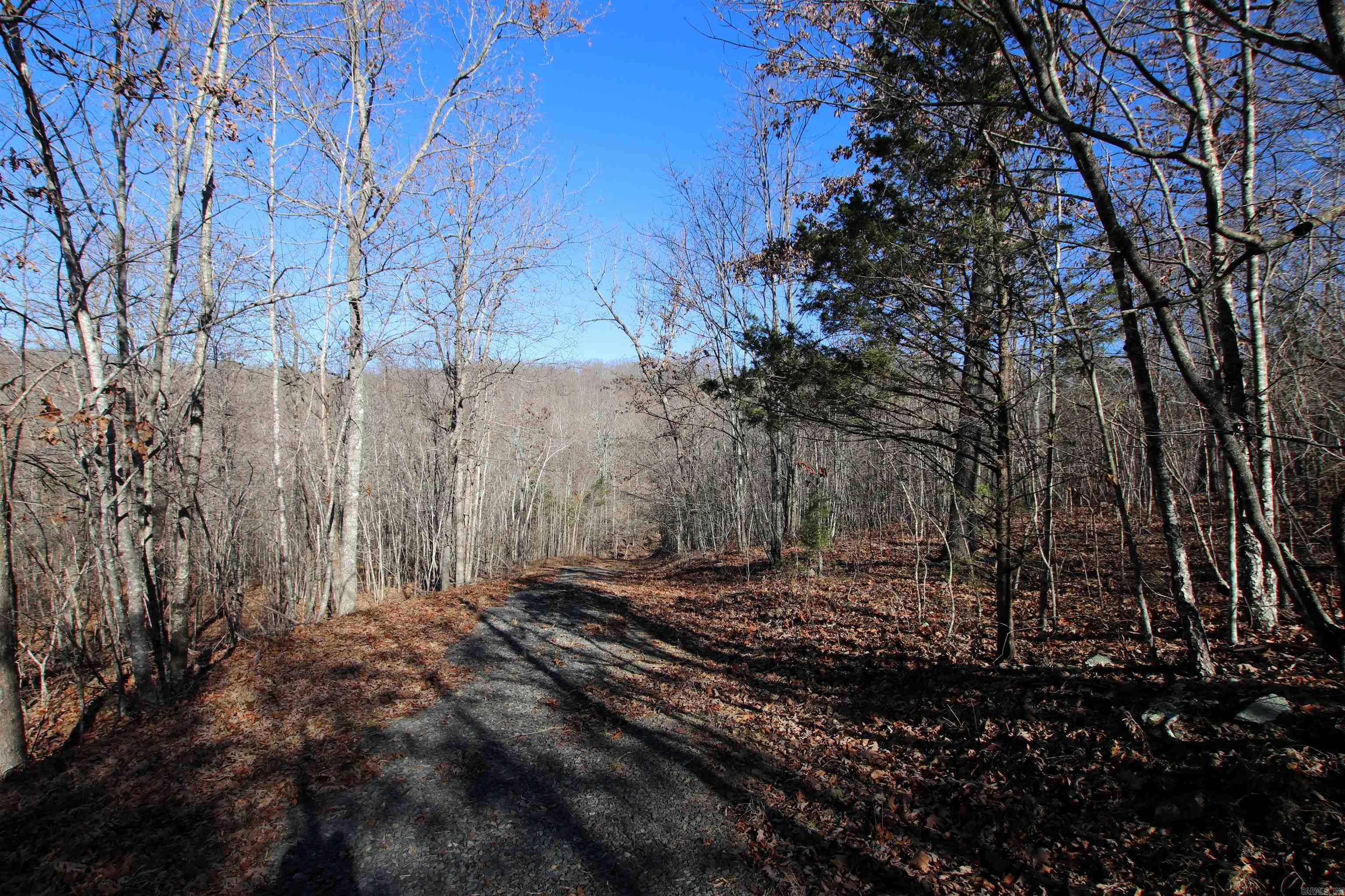 239 Mill Creek Road Property Photo 47