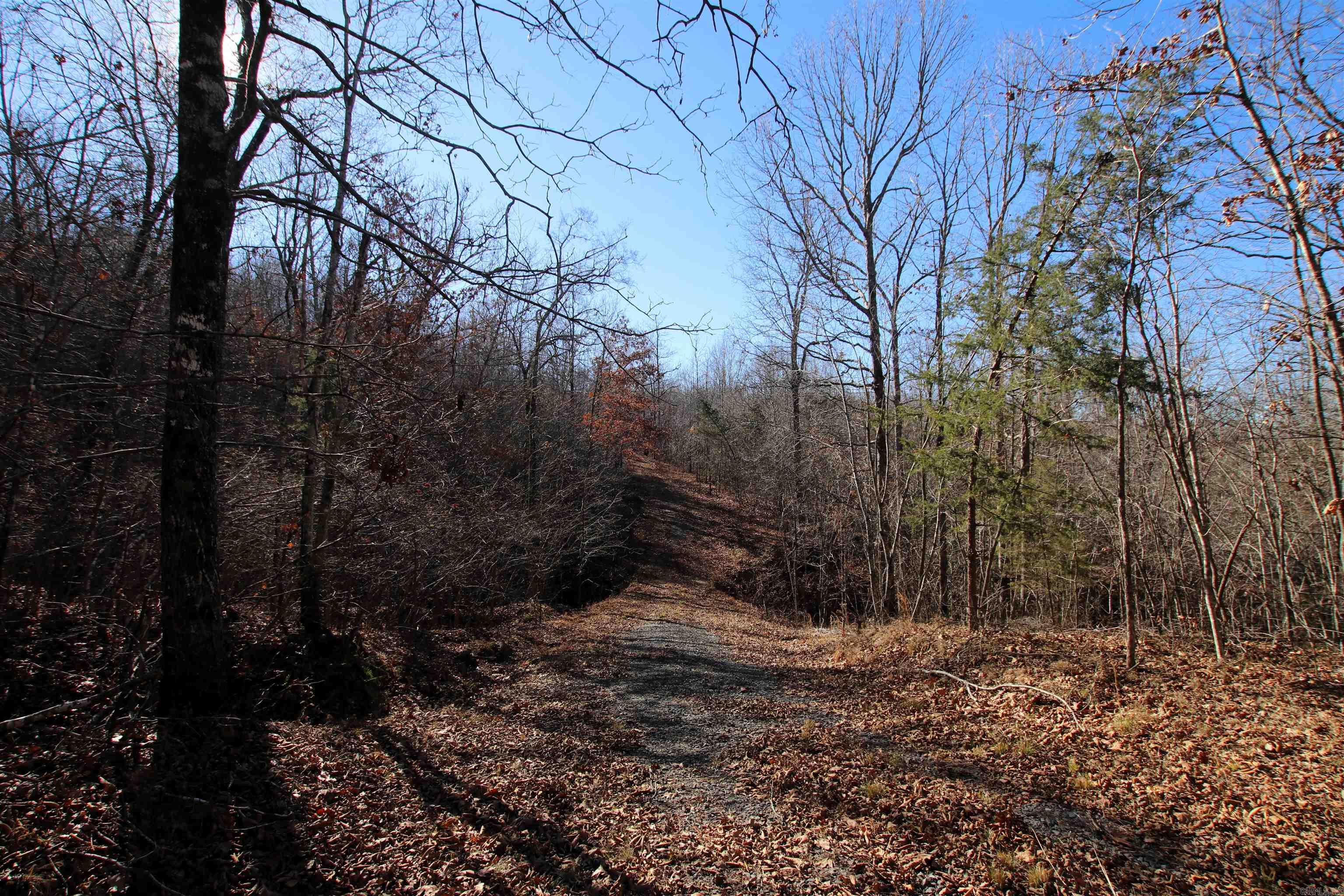 239 Mill Creek Road Property Photo 48