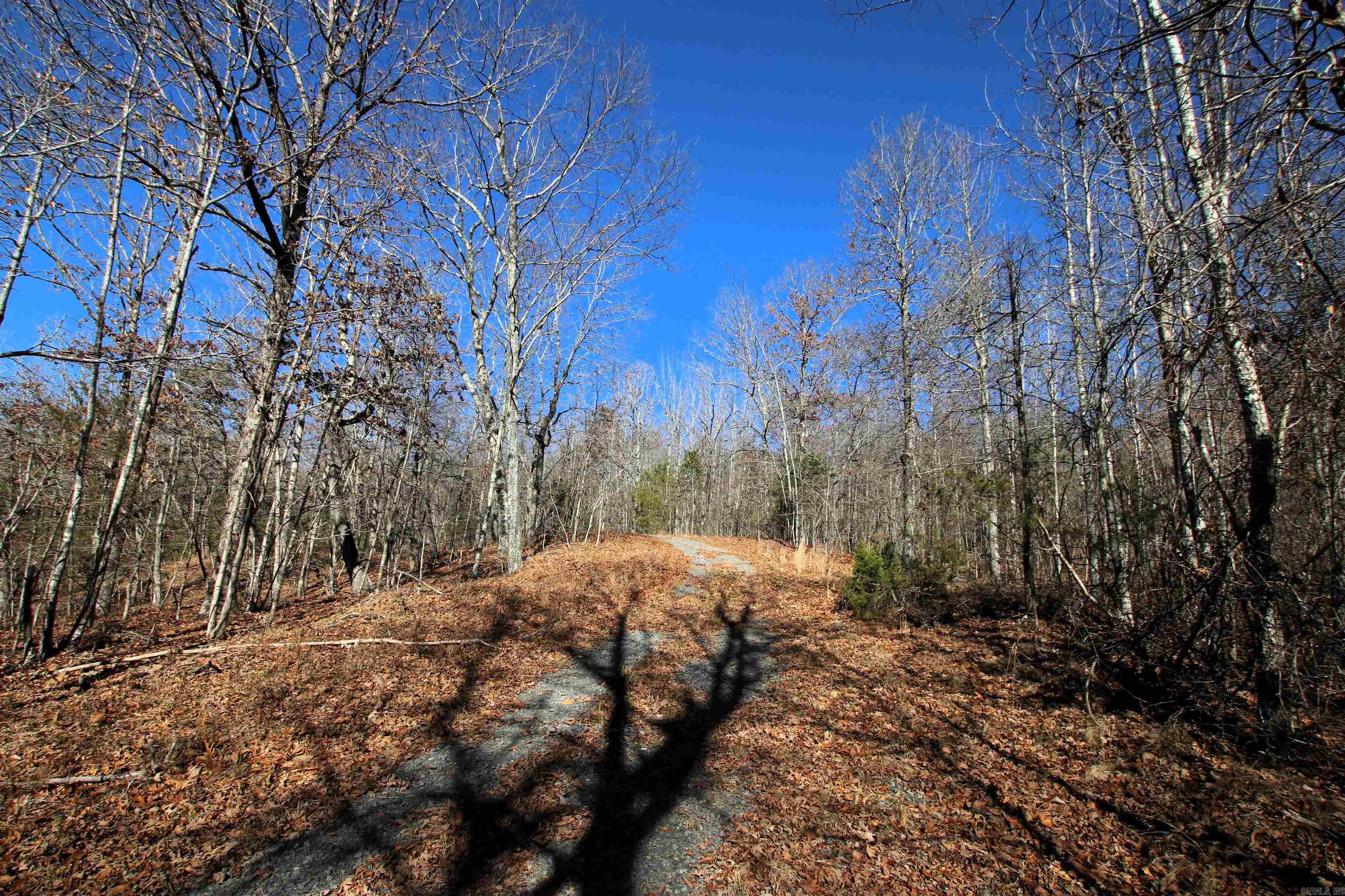 239 Mill Creek Road Property Photo 49