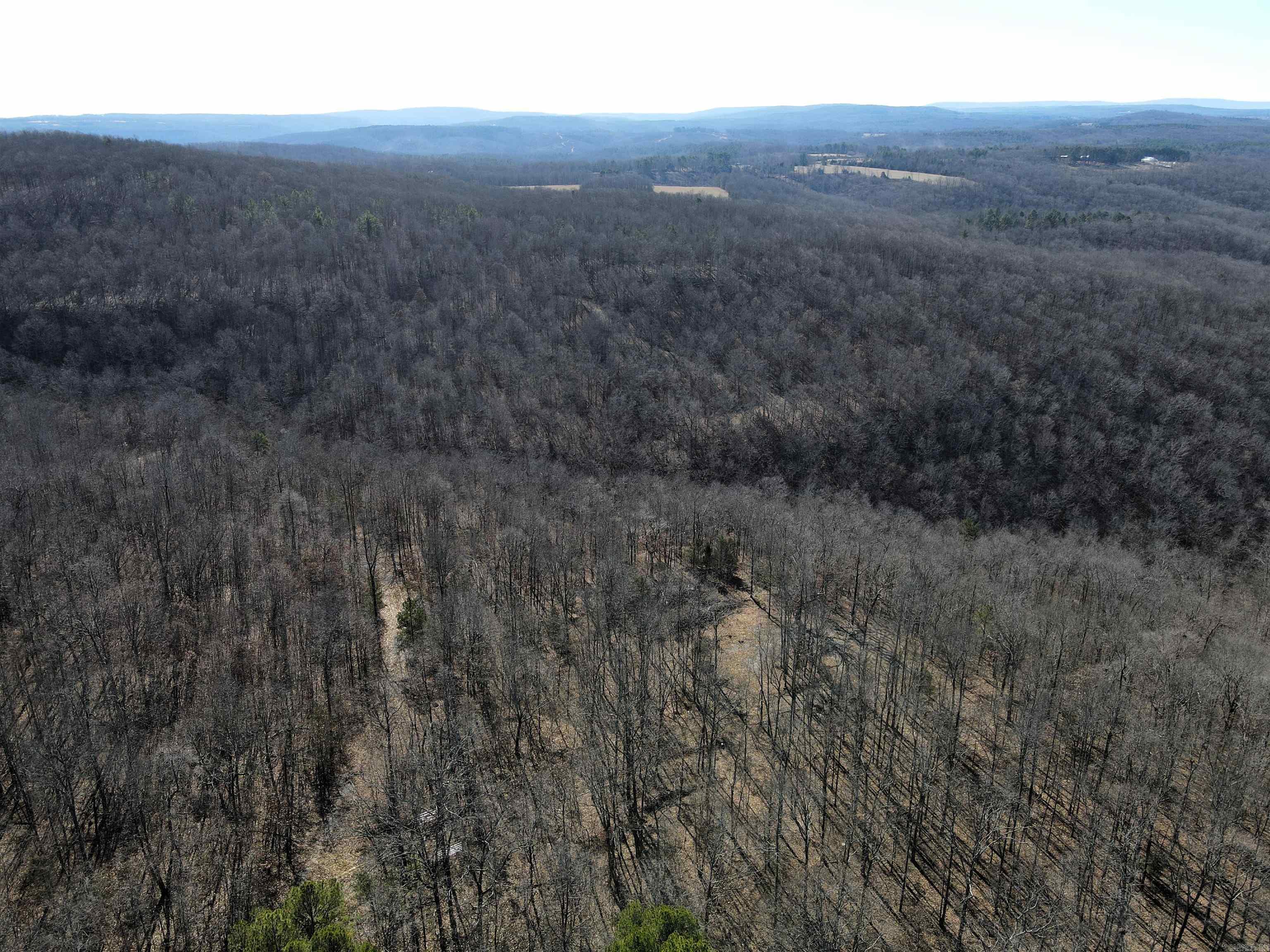 239 Mill Creek Road Property Photo 50