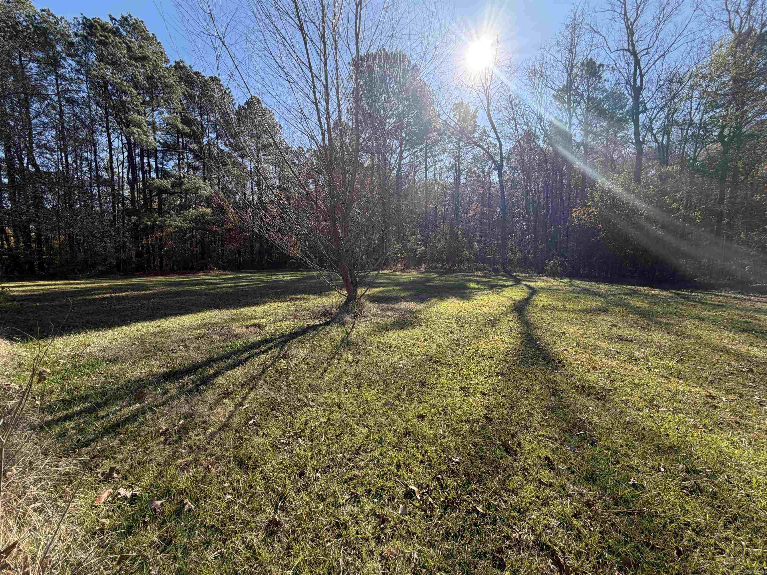 9210 Henderson Road Property Photo 6