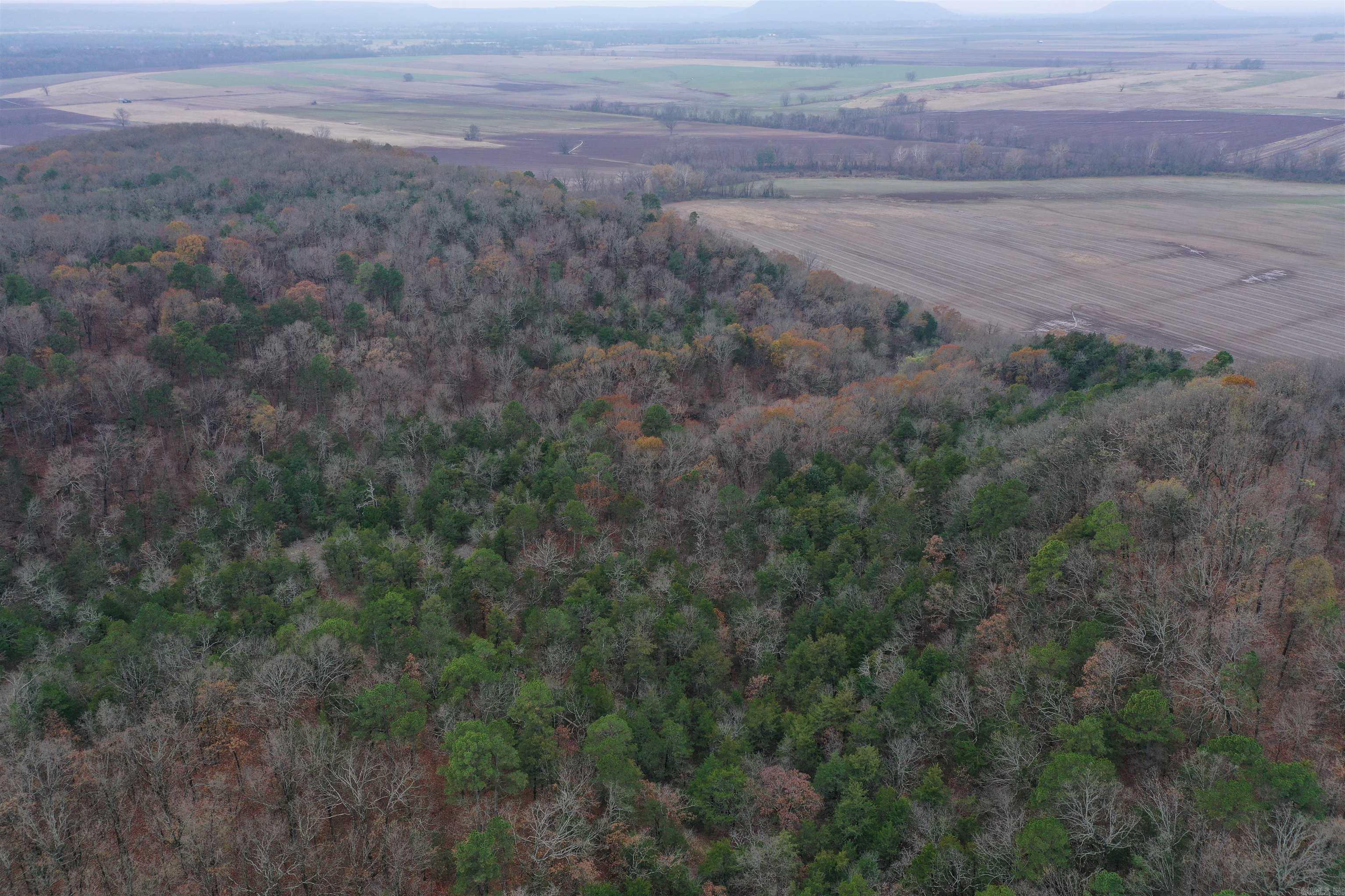 0000 Old Creek Rd Property Photo 5