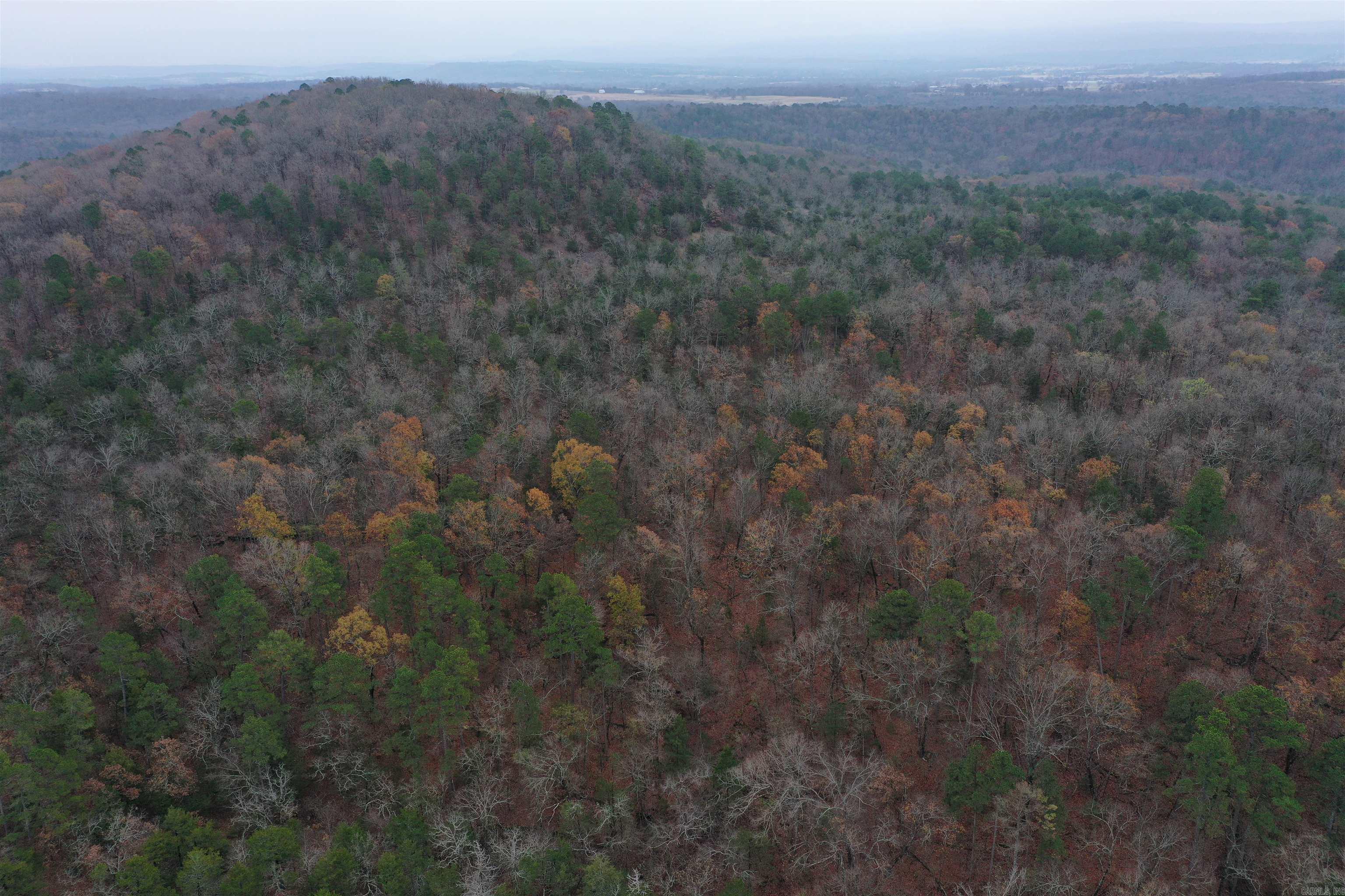 0000 Old Creek Rd Property Photo 9