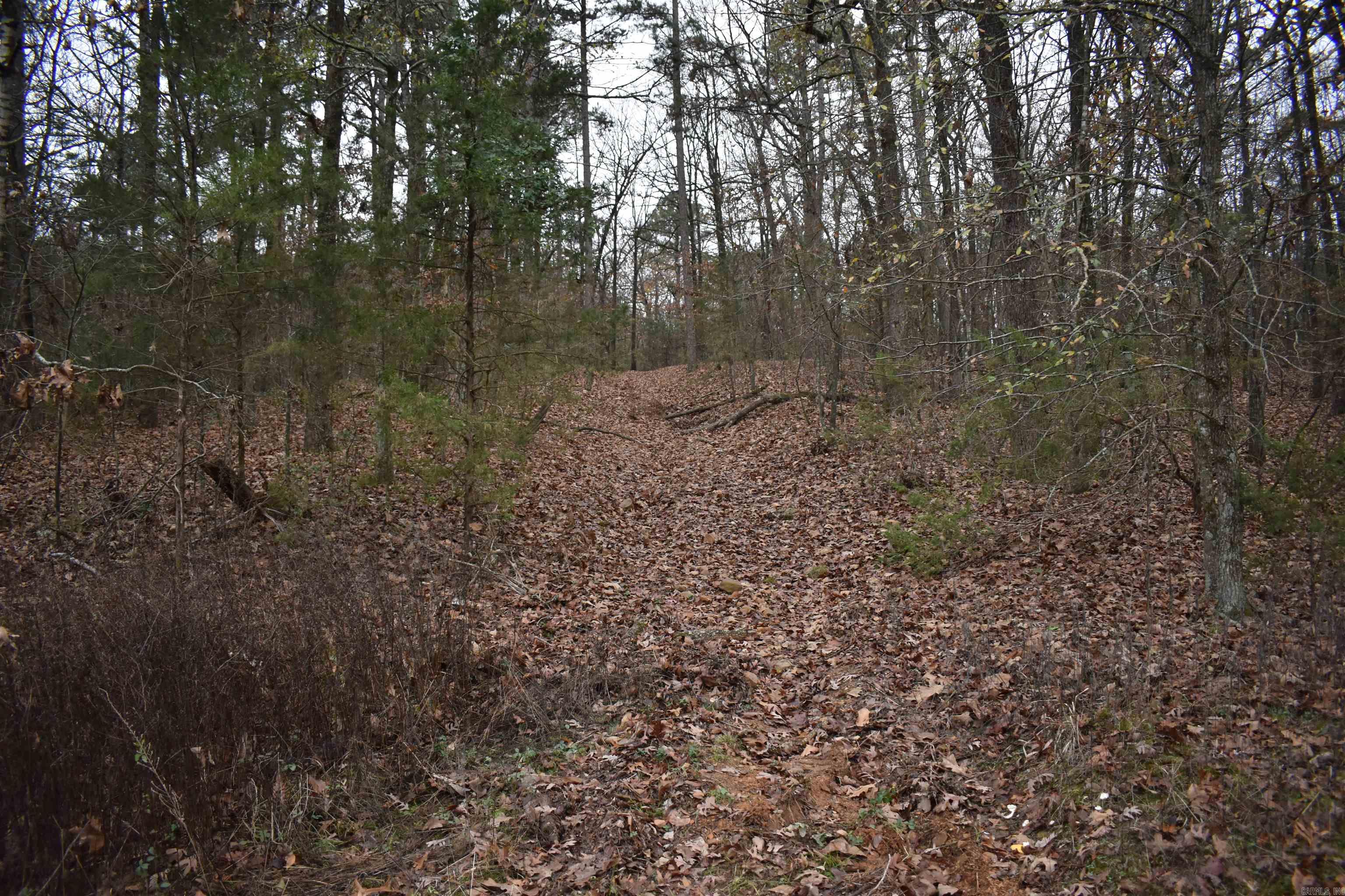 0000 Old Creek Rd Property Photo 20