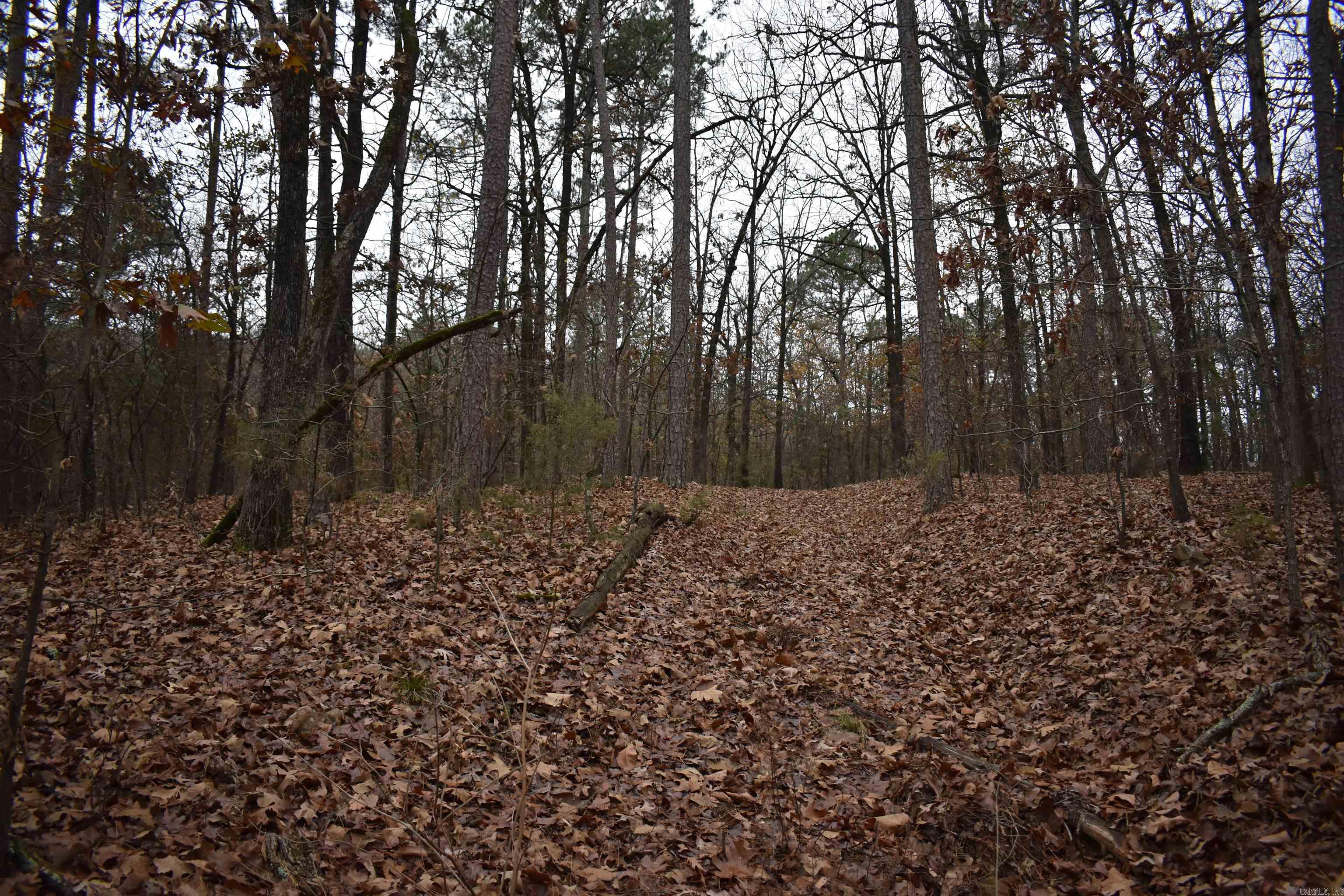0000 Old Creek Rd Property Photo 21
