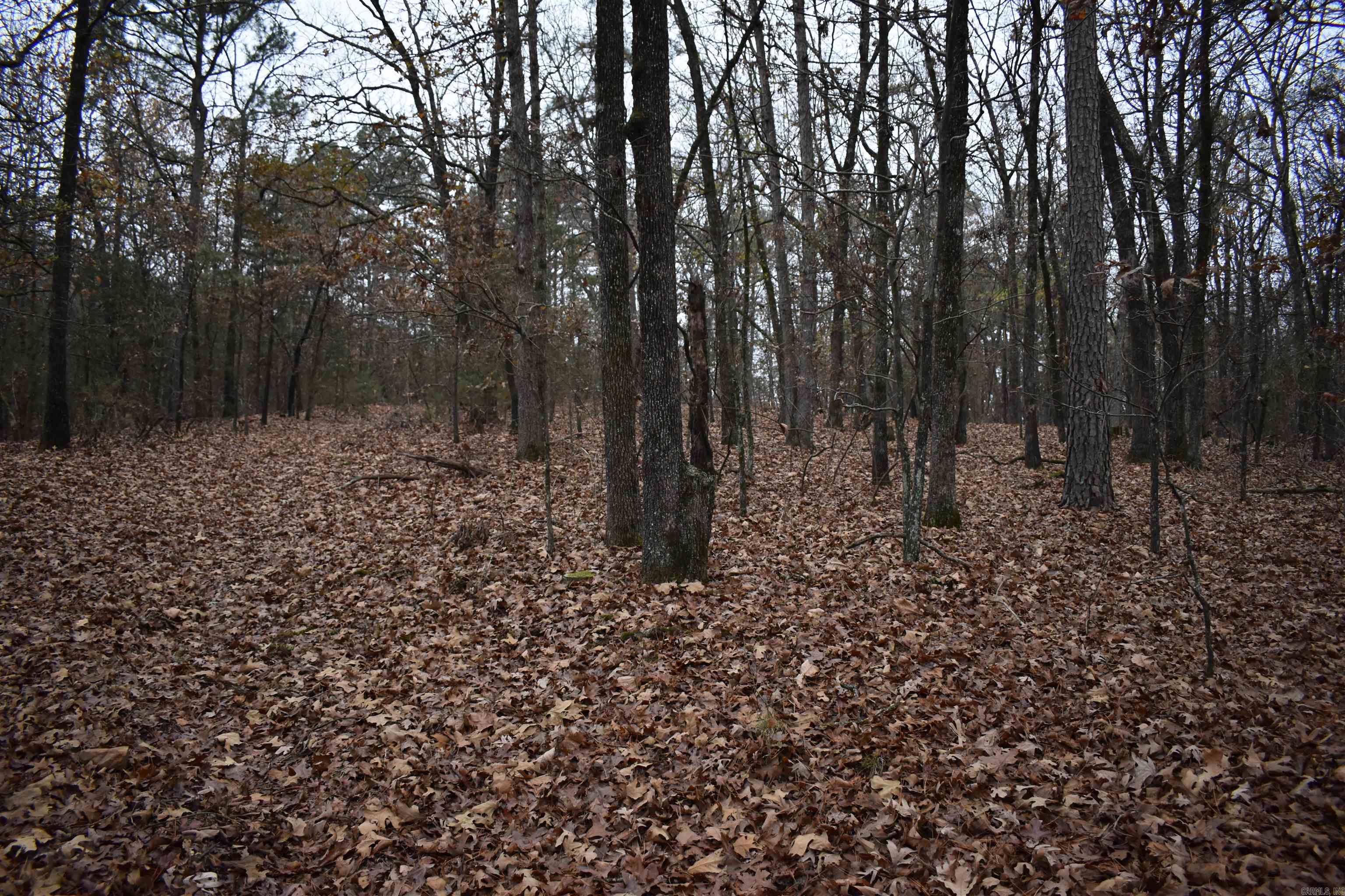 0000 Old Creek Rd Property Photo 22