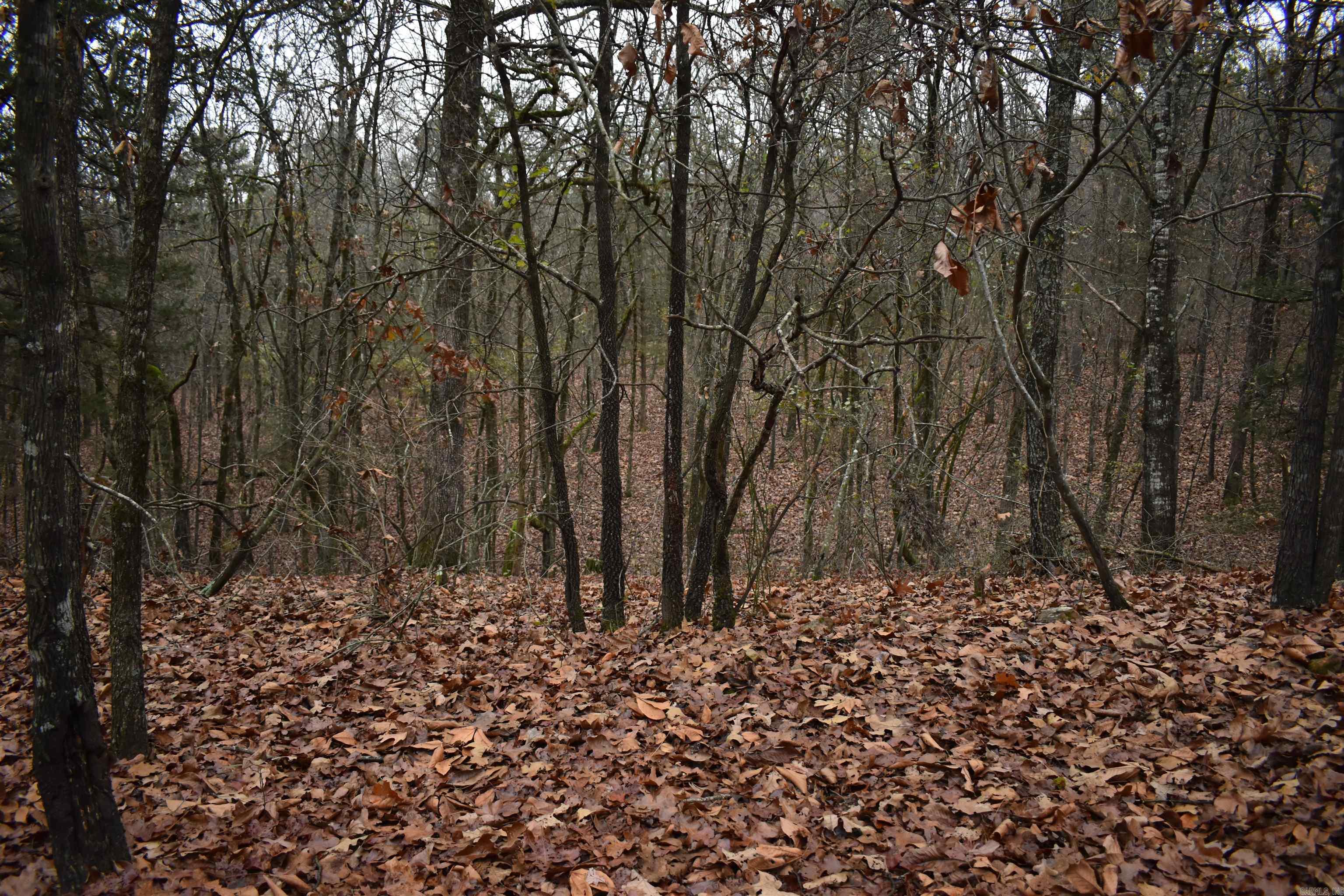 0000 Old Creek Rd Property Photo 23