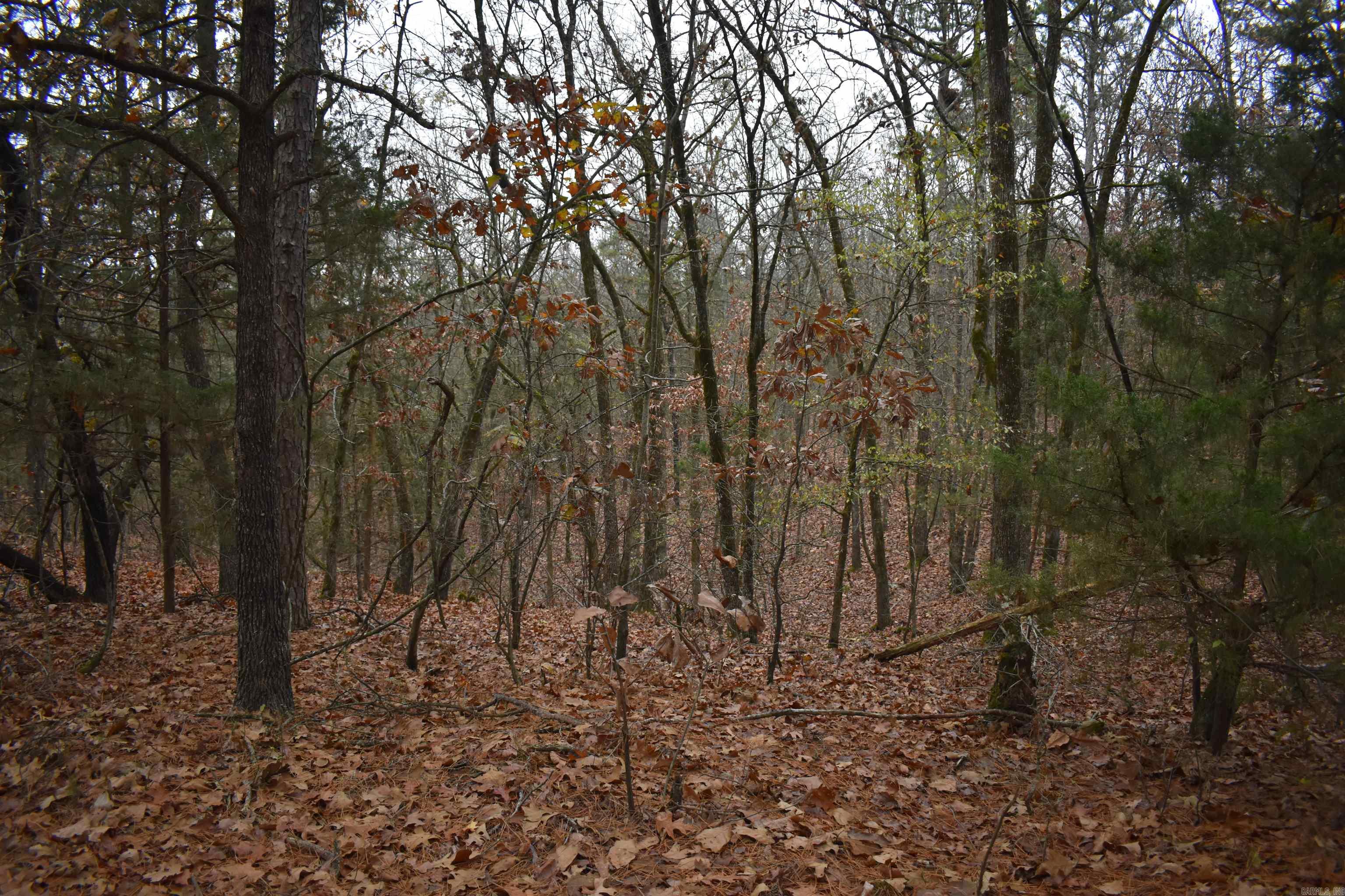 0000 Old Creek Rd Property Photo 24