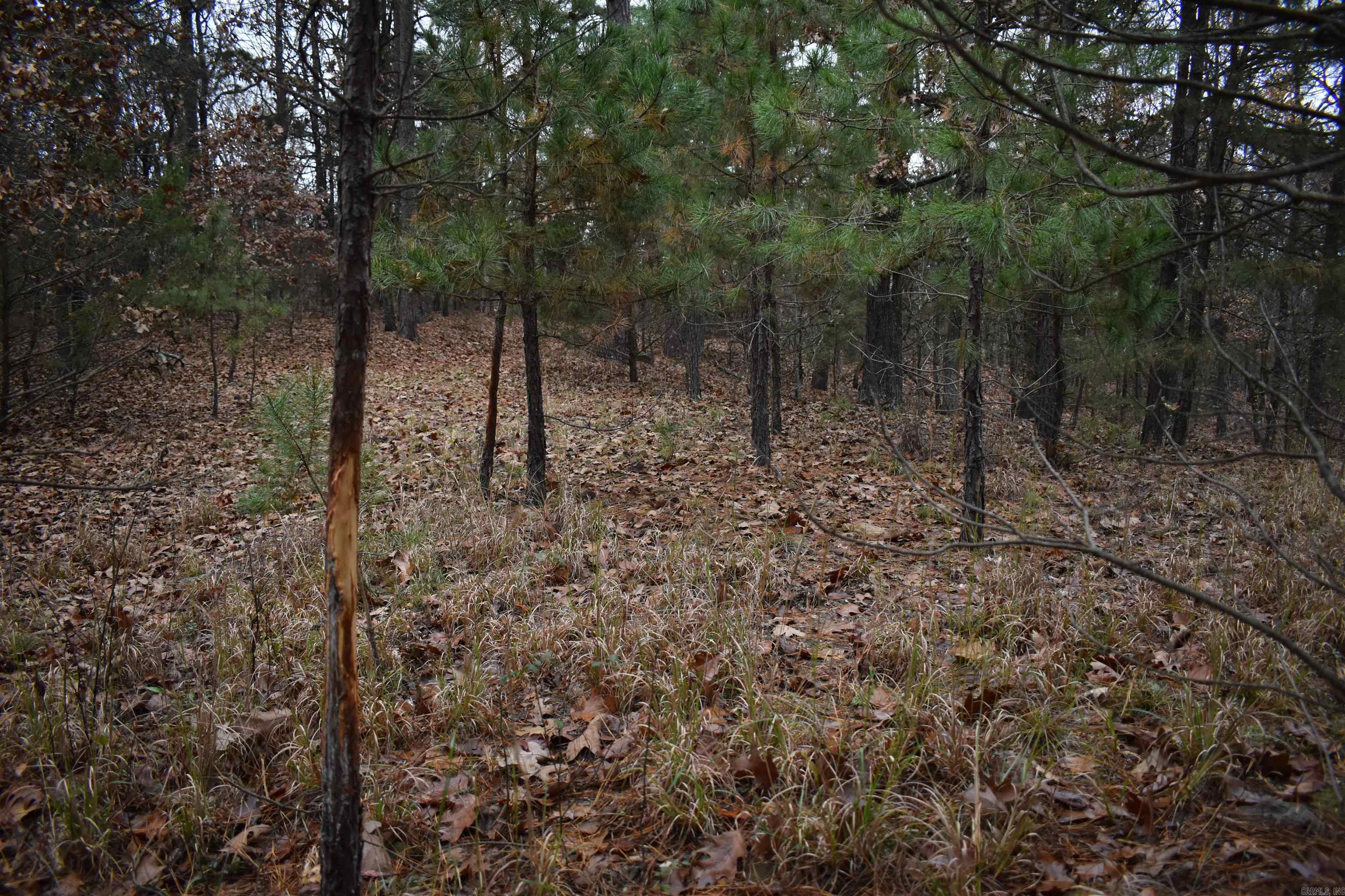 0000 Old Creek Rd Property Photo 25