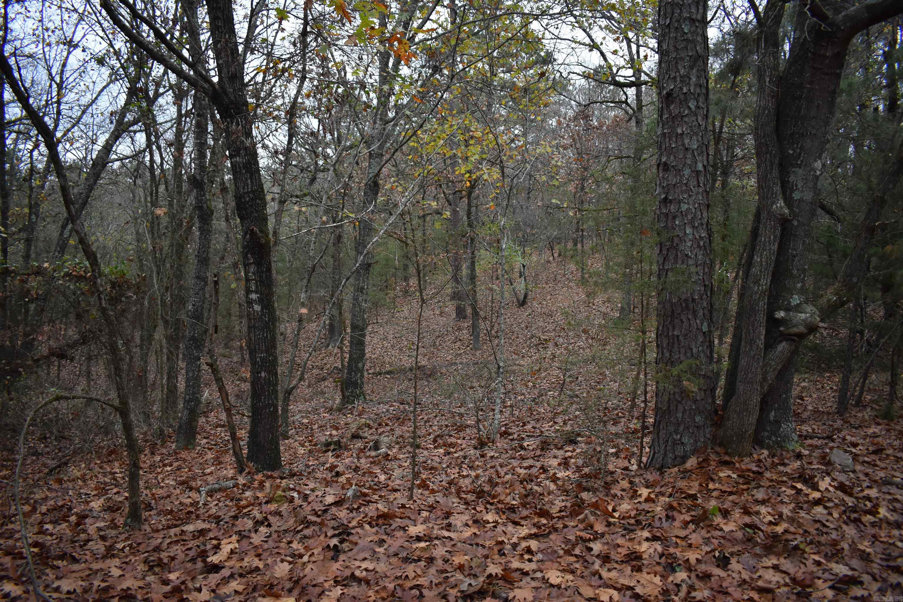 0000 Old Creek Rd Property Photo 26