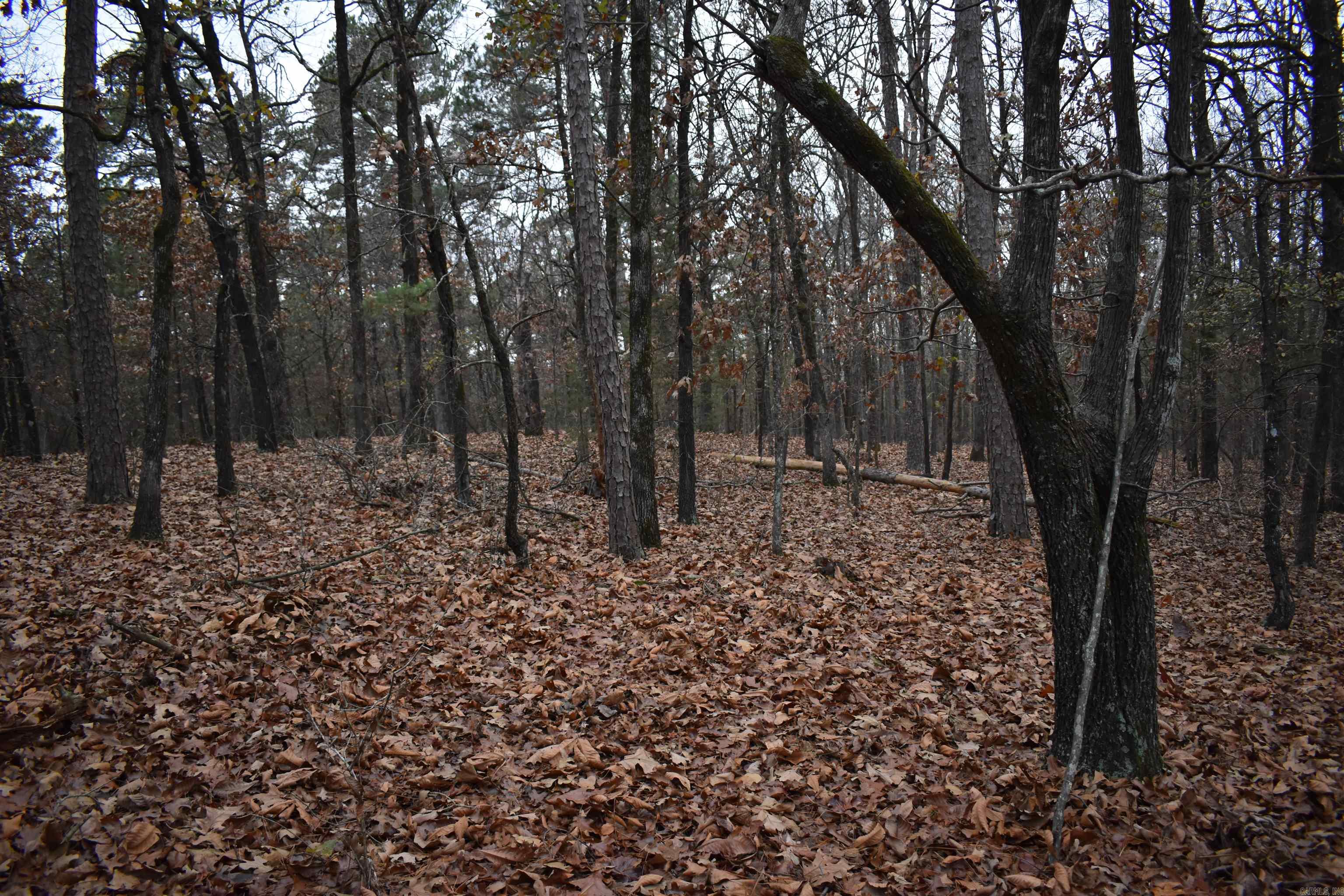 0000 Old Creek Rd Property Photo 27