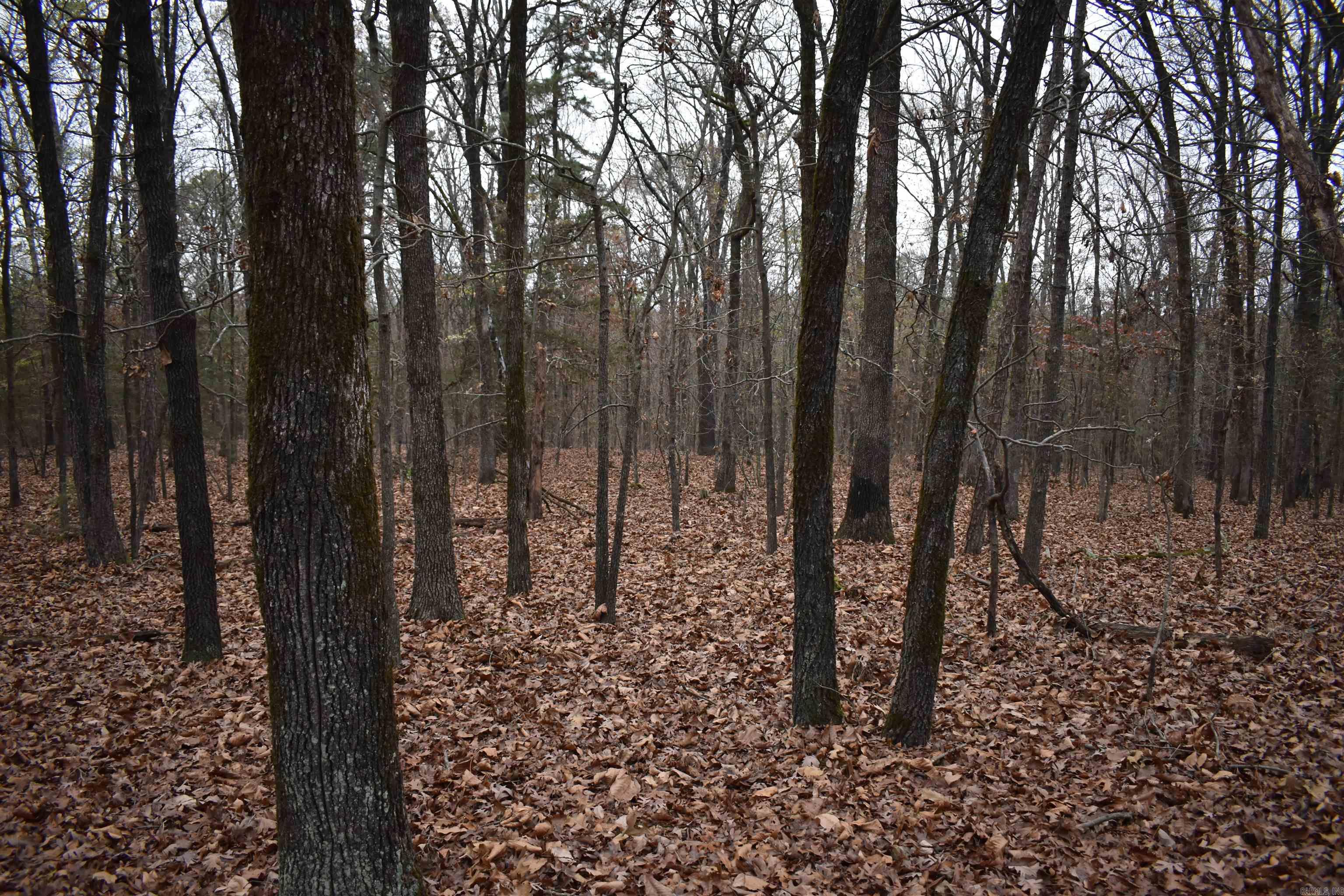 0000 Old Creek Rd Property Photo 28