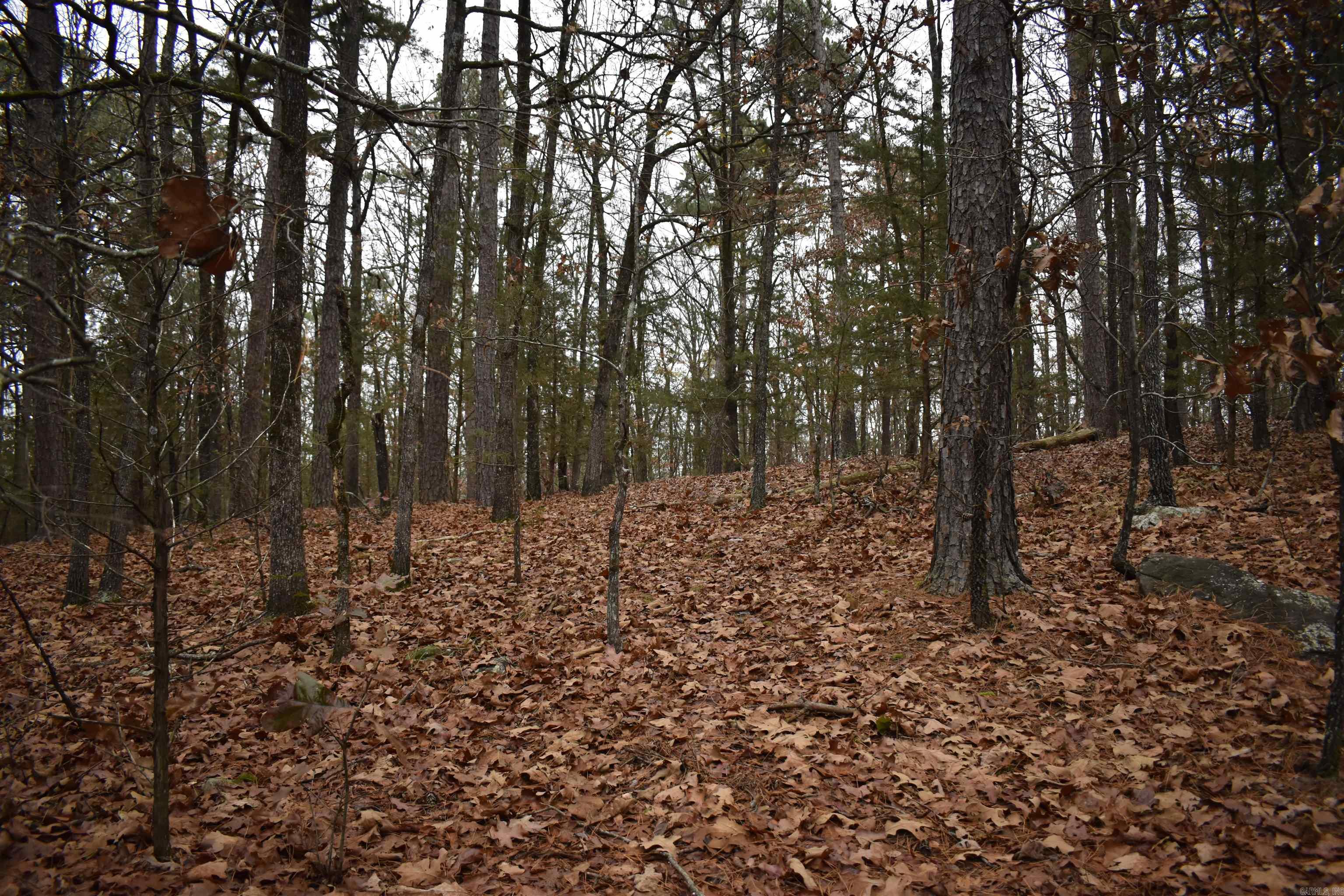 0000 Old Creek Rd Property Photo 29