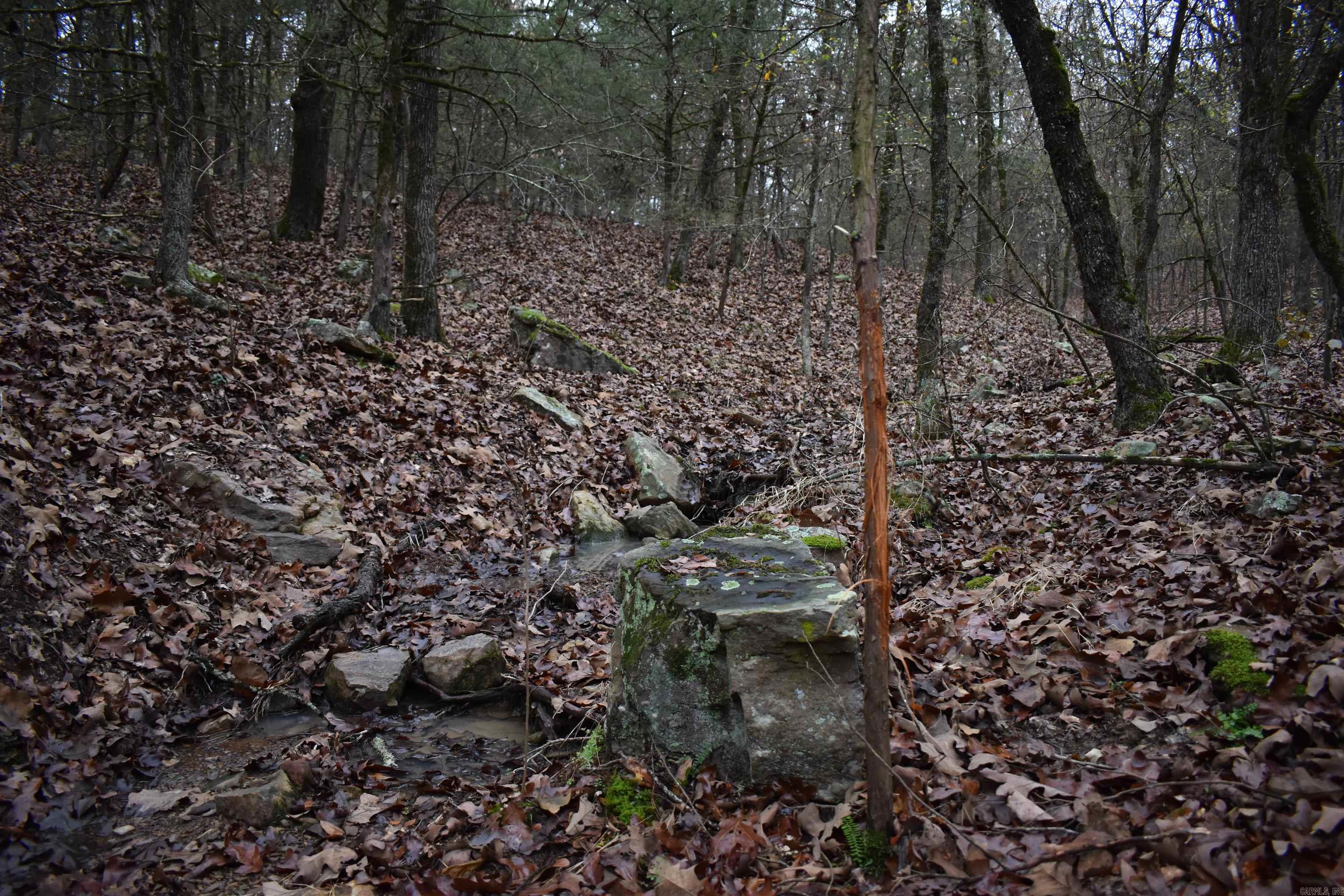0000 Old Creek Rd Property Photo 30