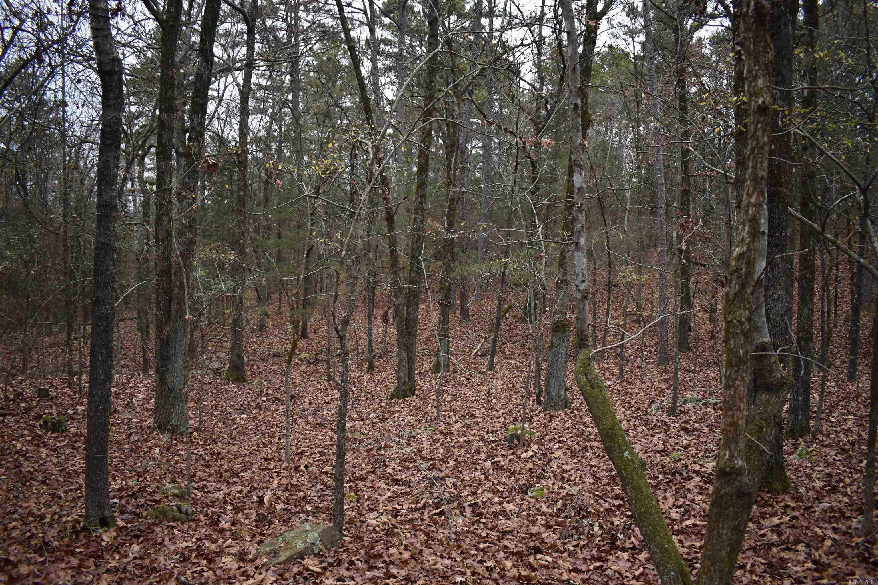 0000 Old Creek Rd Property Photo 32