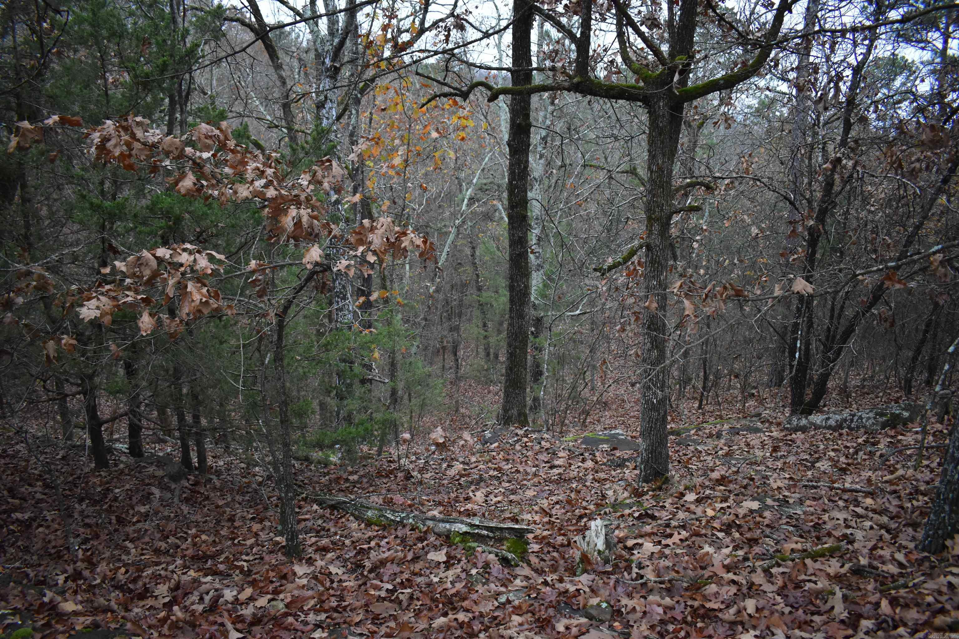 0000 Old Creek Rd Property Photo 33