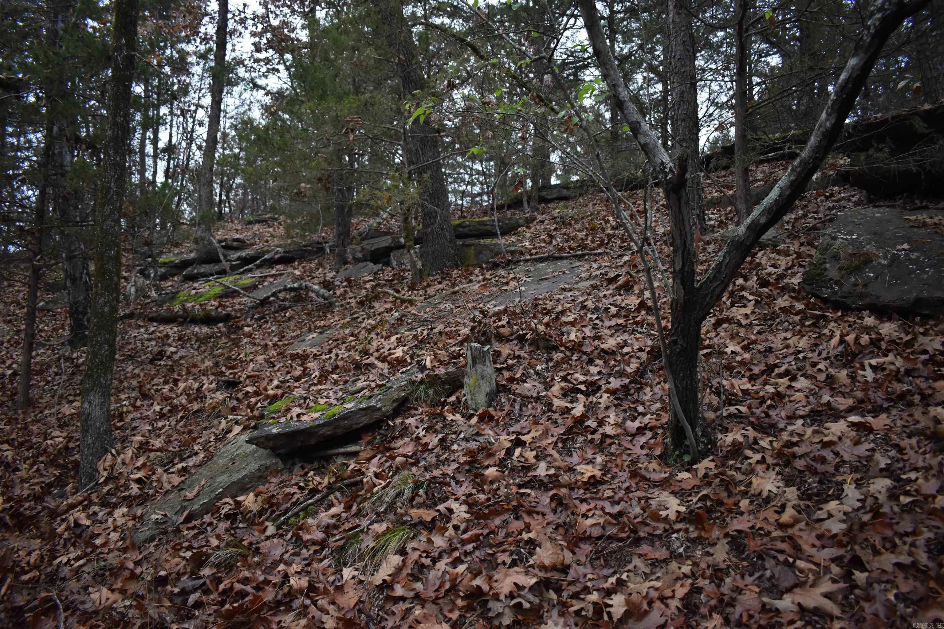 0000 Old Creek Rd Property Photo 35
