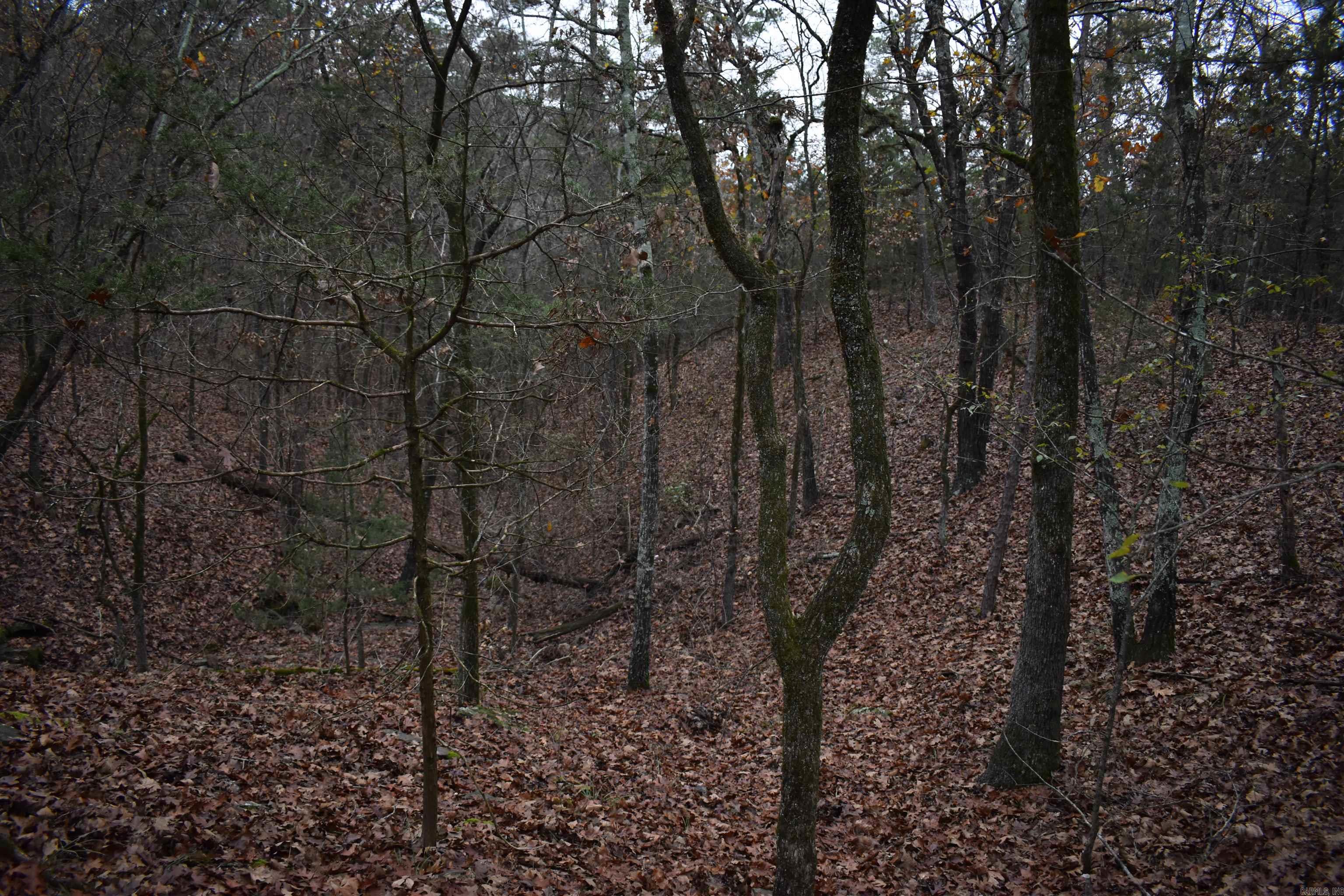 0000 Old Creek Rd Property Photo 36