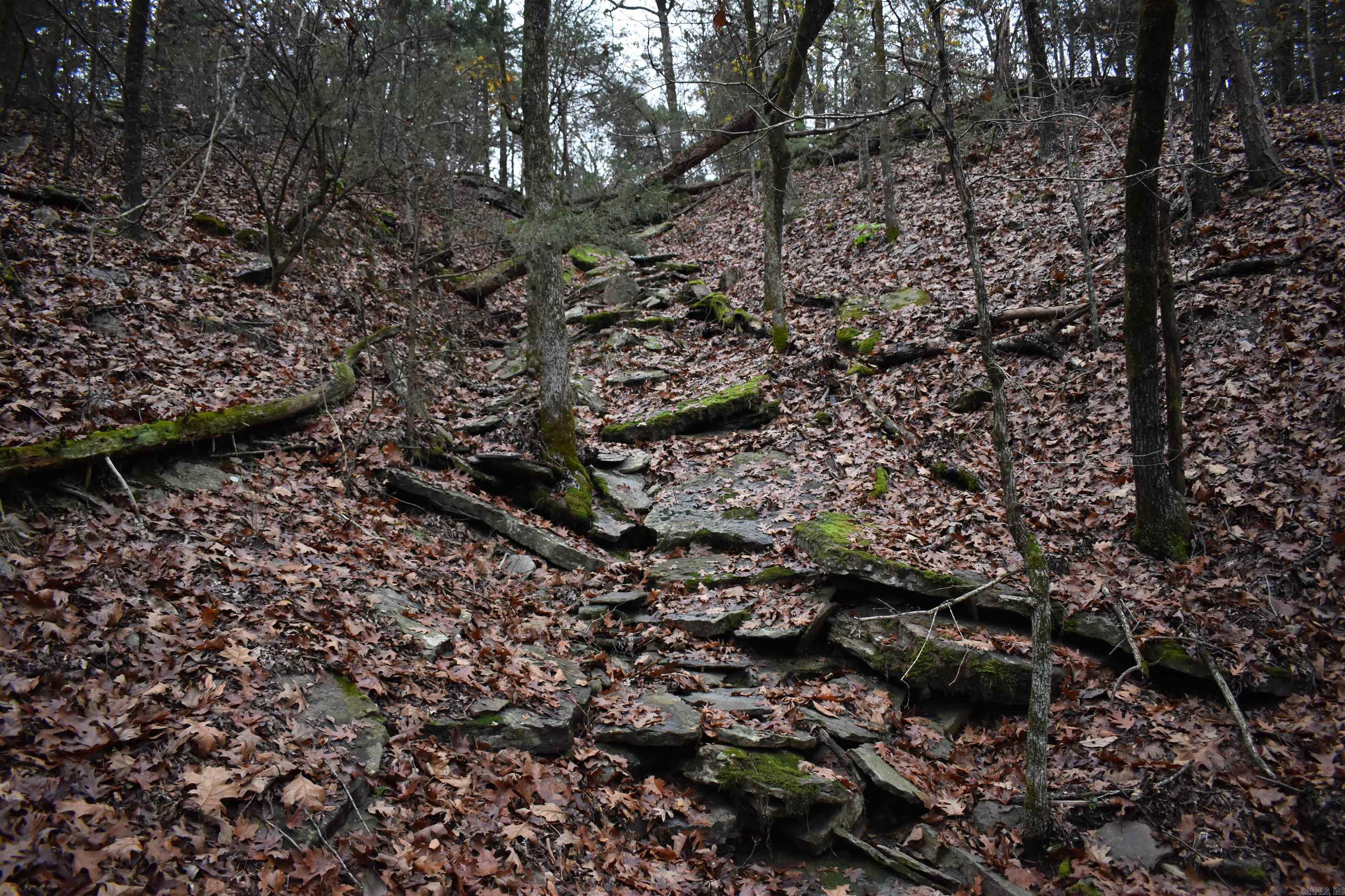 0000 Old Creek Rd Property Photo 37