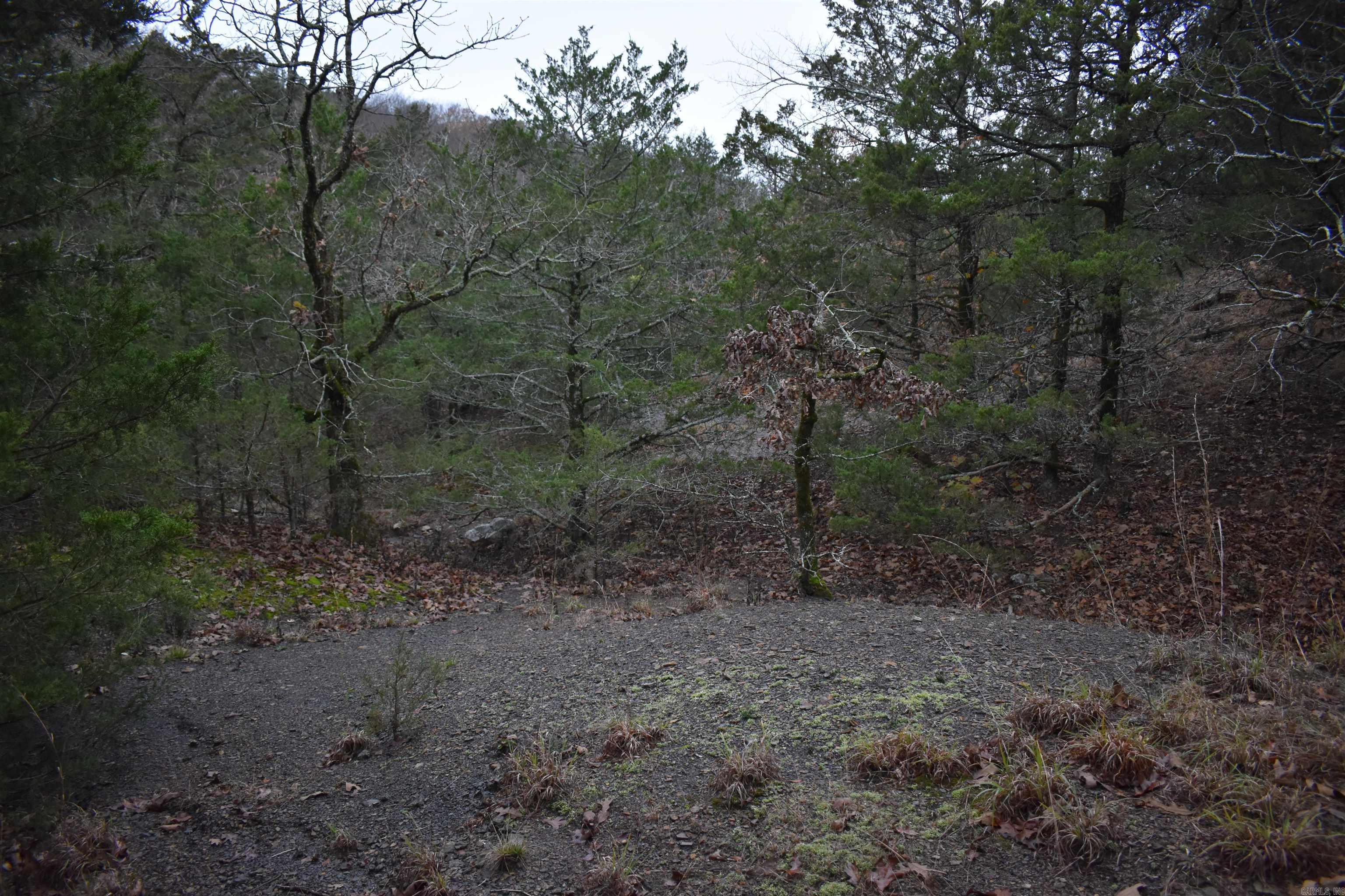 0000 Old Creek Rd Property Photo 38