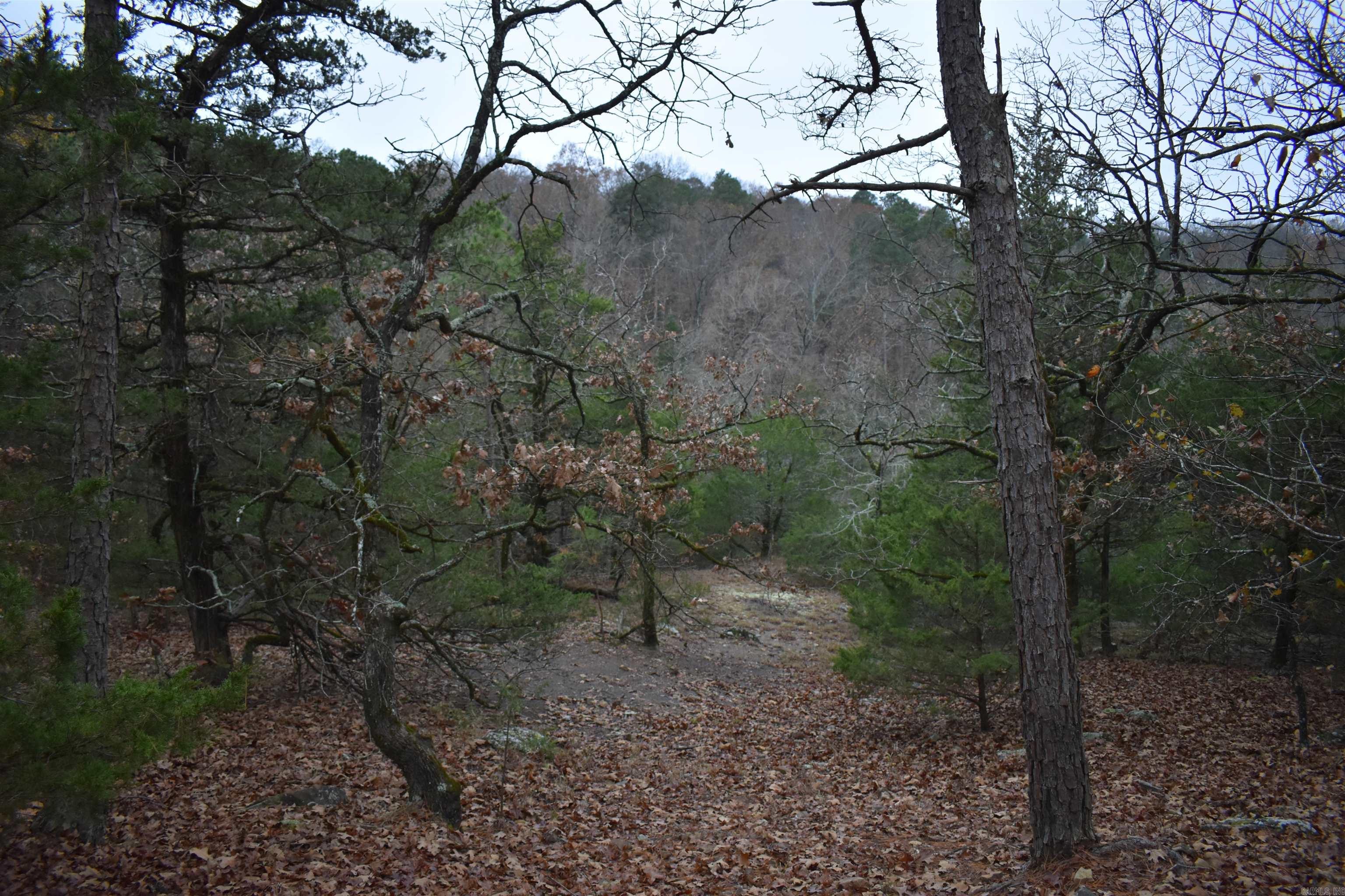 0000 Old Creek Rd Property Photo 40