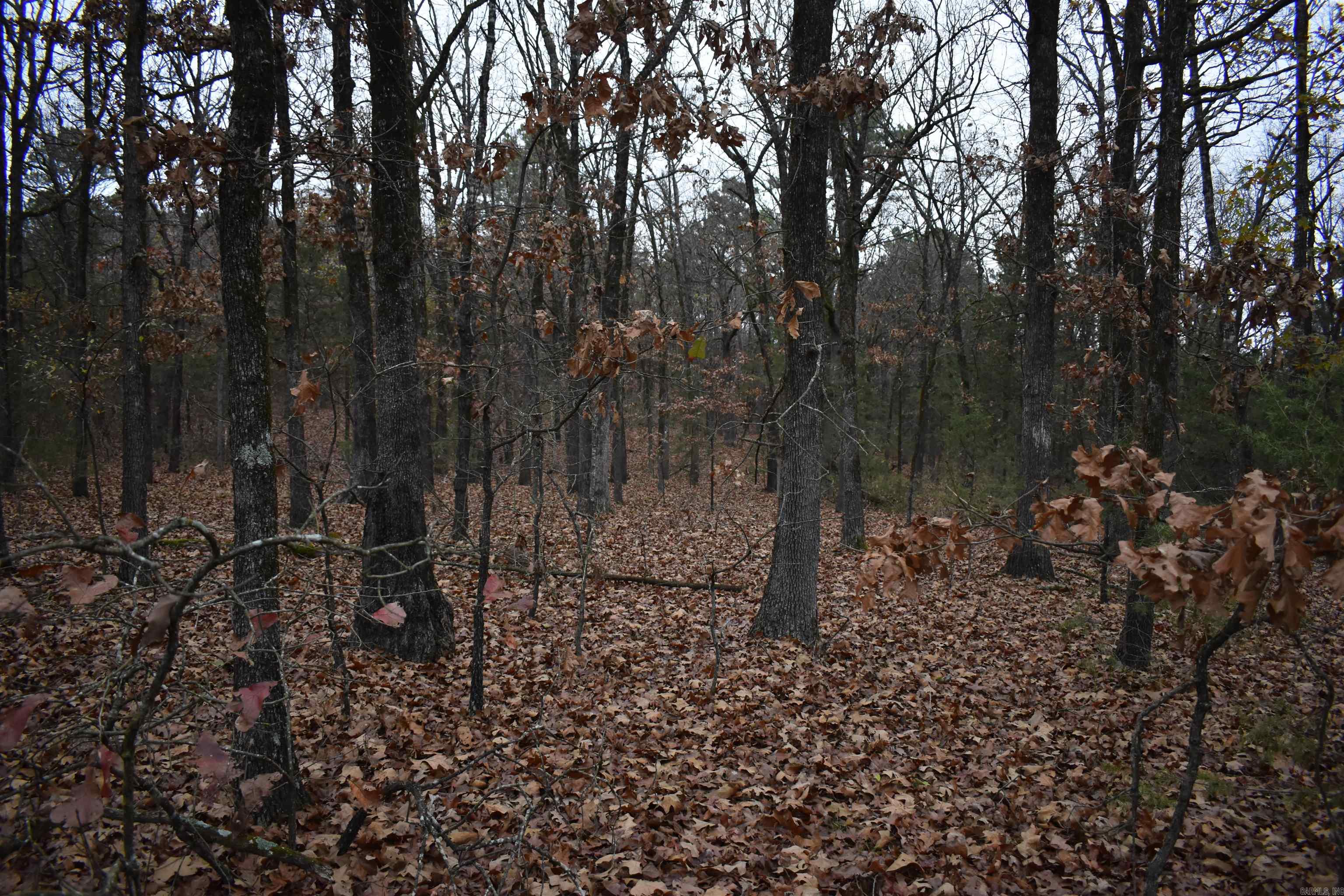 0000 Old Creek Rd Property Photo 41