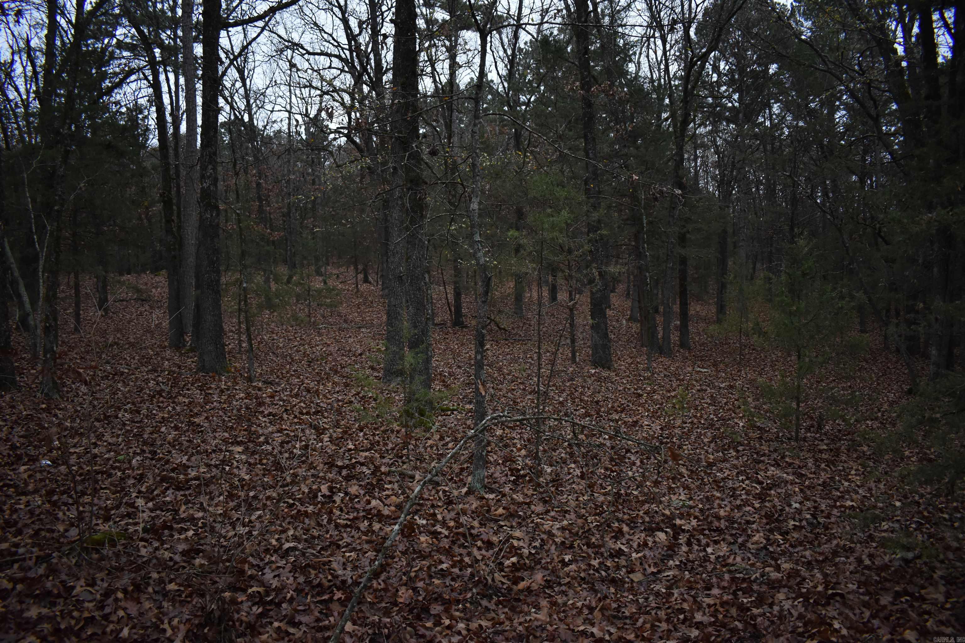 0000 Old Creek Rd Property Photo 42