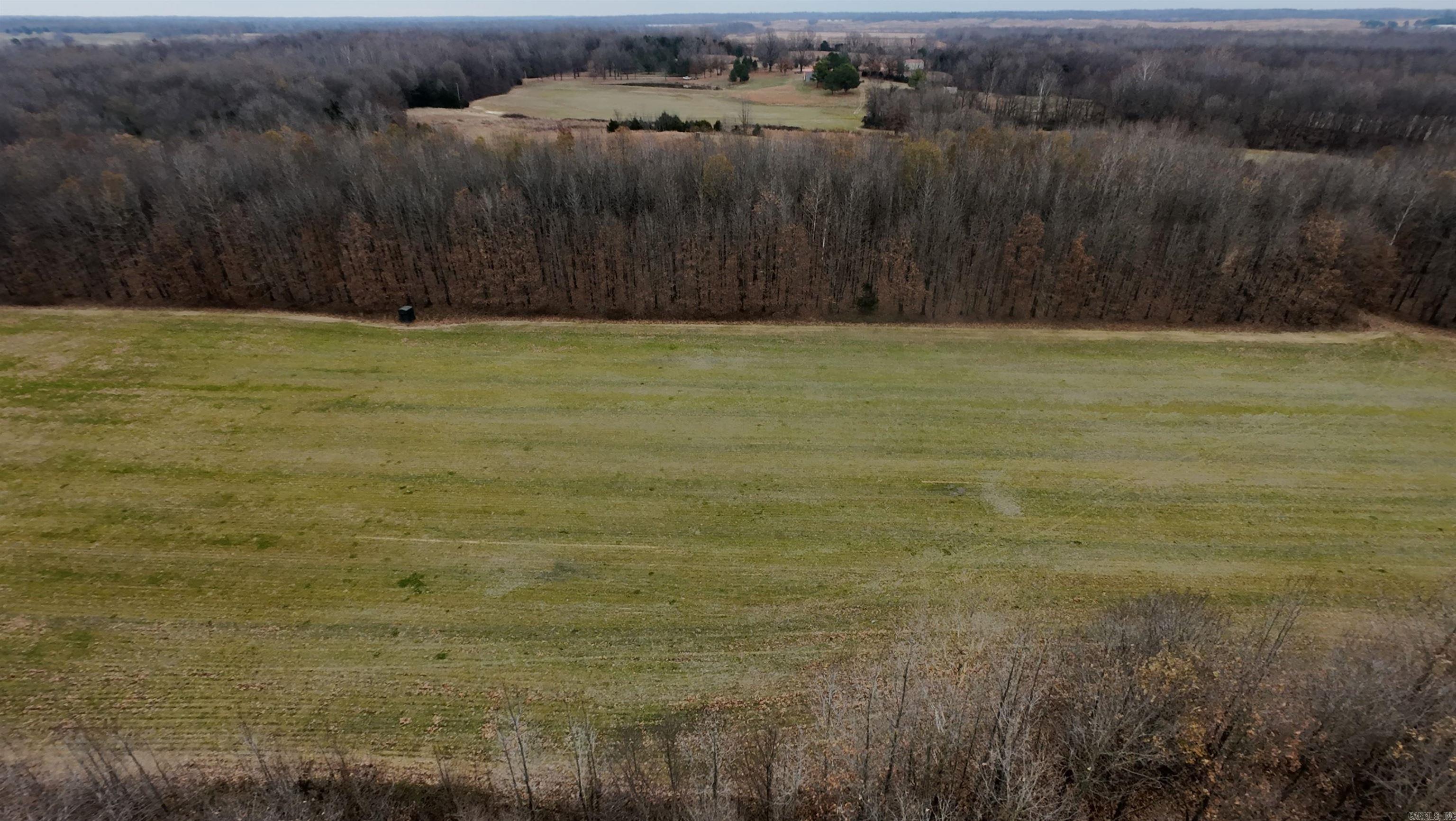 2 Cr 41 Property Photo 4